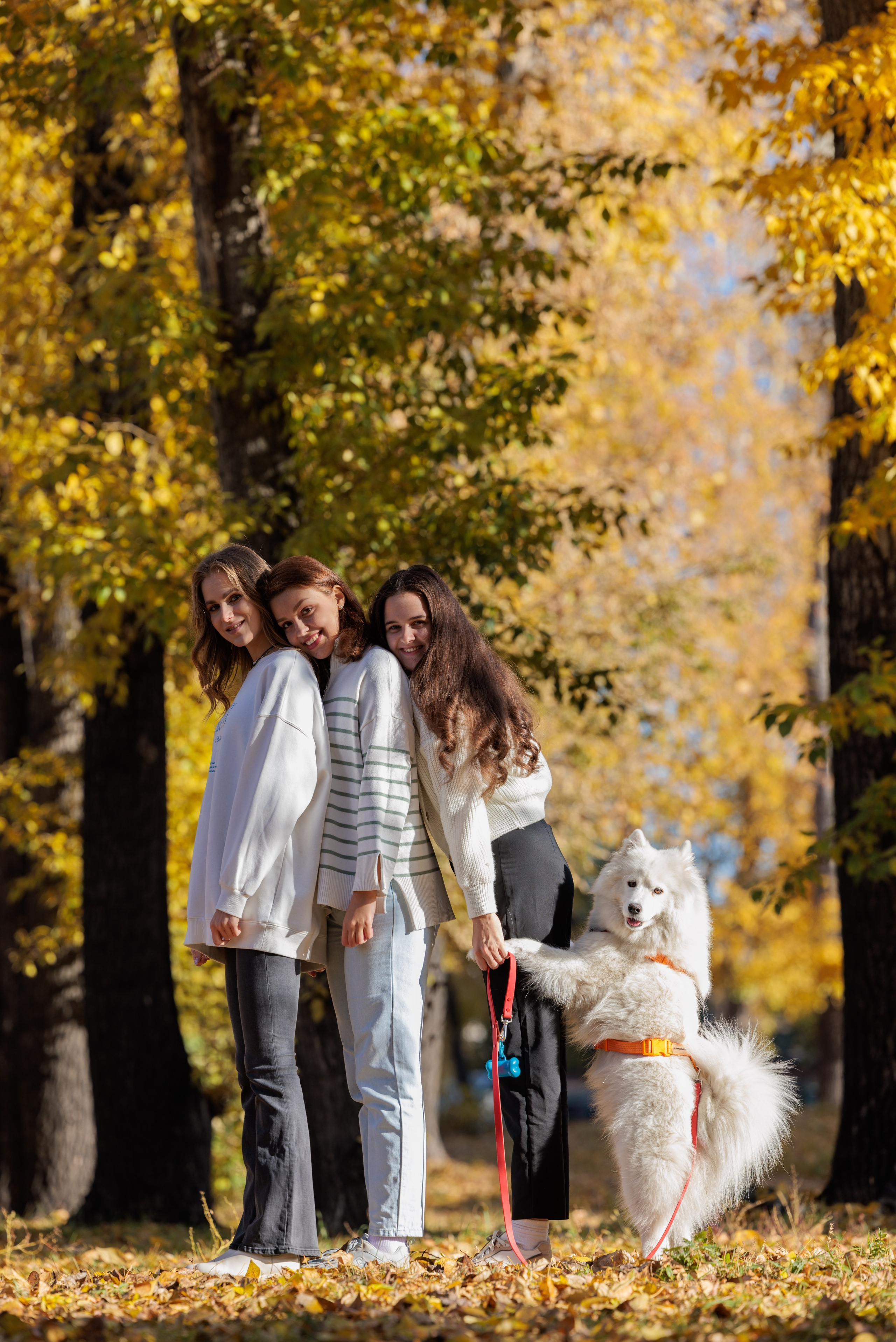 Ваши Истории. Фотограф/видеограф. Абакан