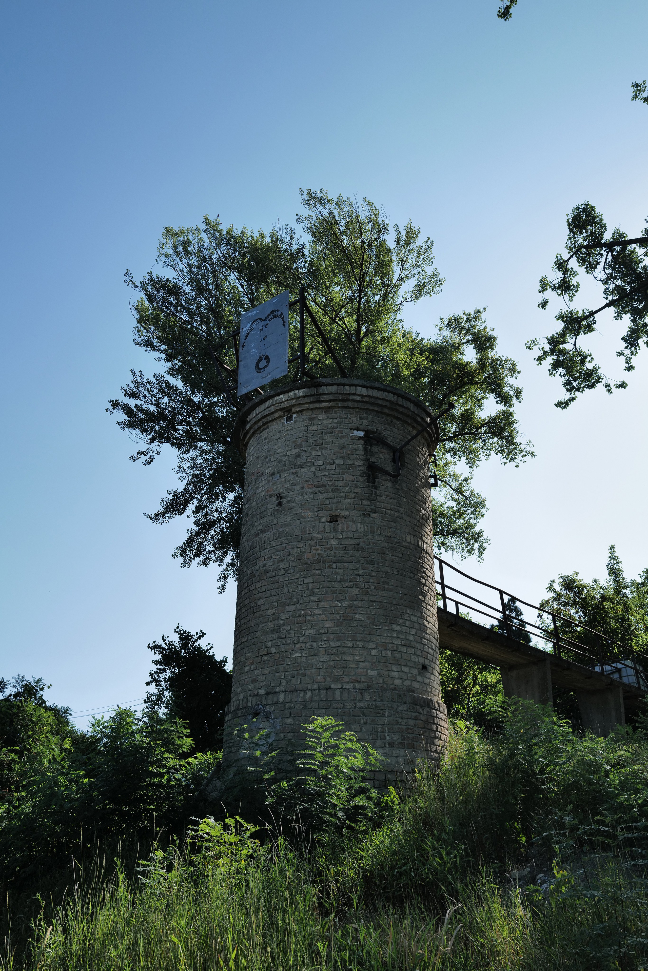 Кристина Разумова — О муравьях и улитке (пустая раковина, в которой утонули муравьи в капле морской воды)