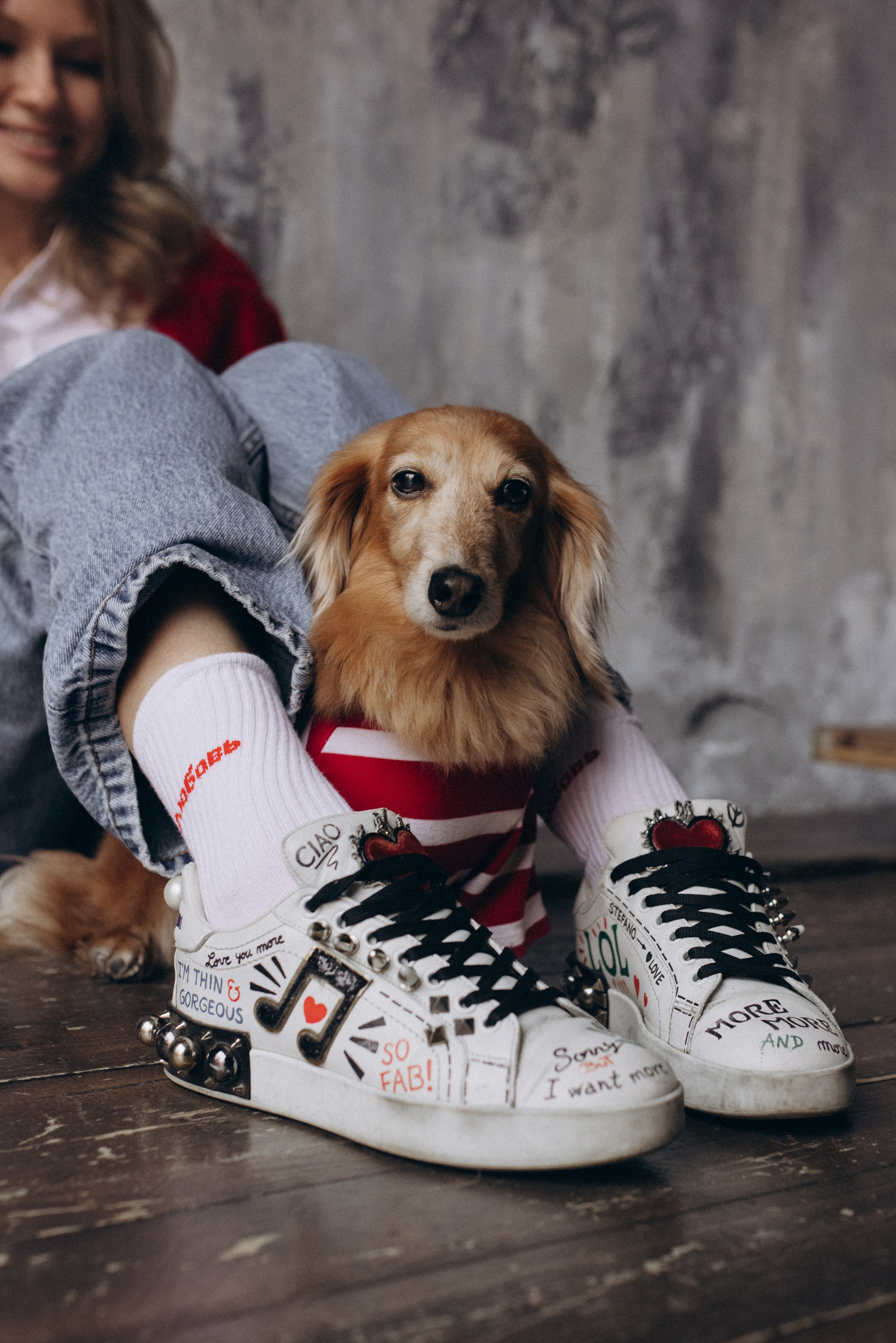 Услуги и стоимость. Фотограф-анималист в Москве Кириллова Татьяна