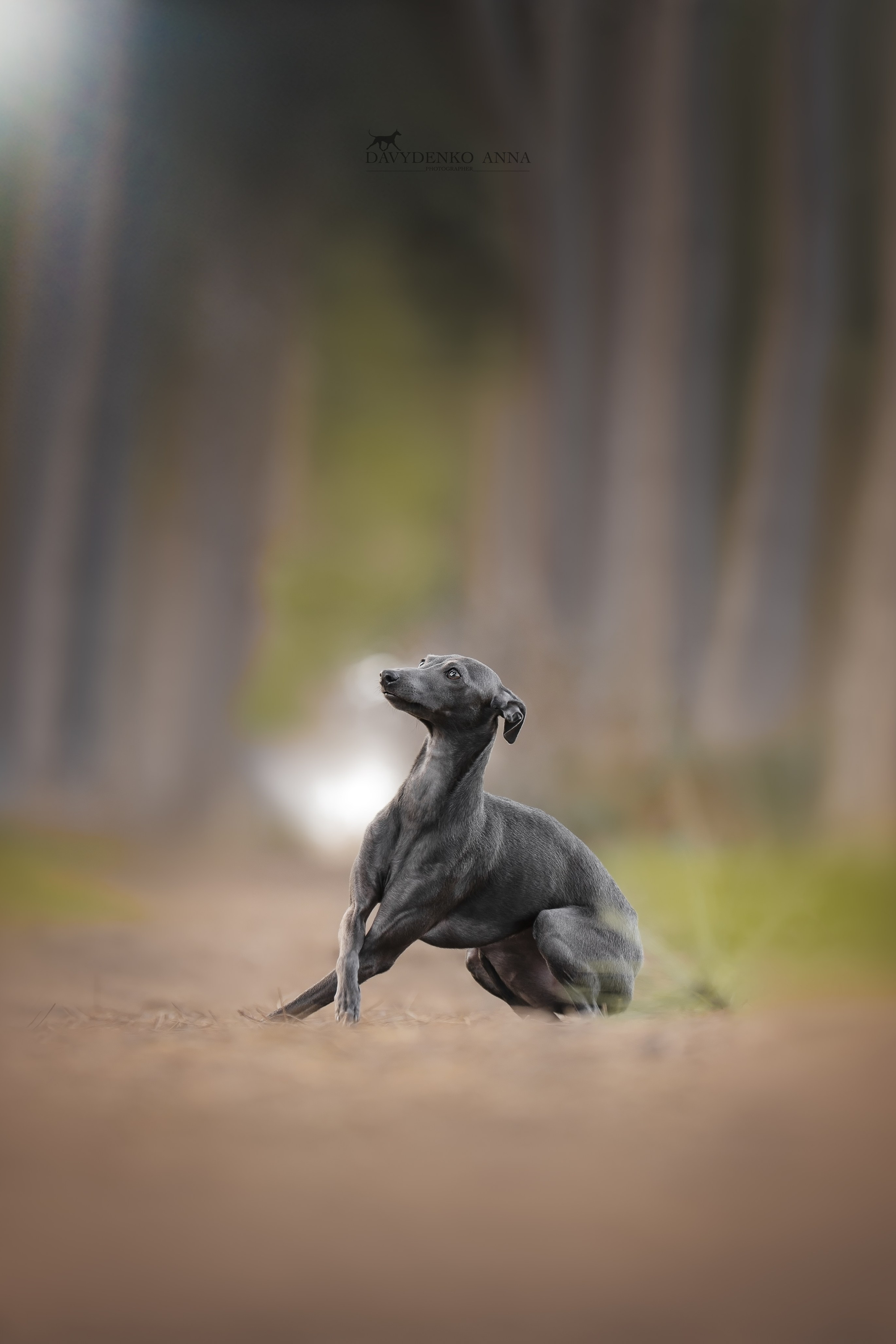 Давыденко Анна / Фотограф Краснодар/Сочи