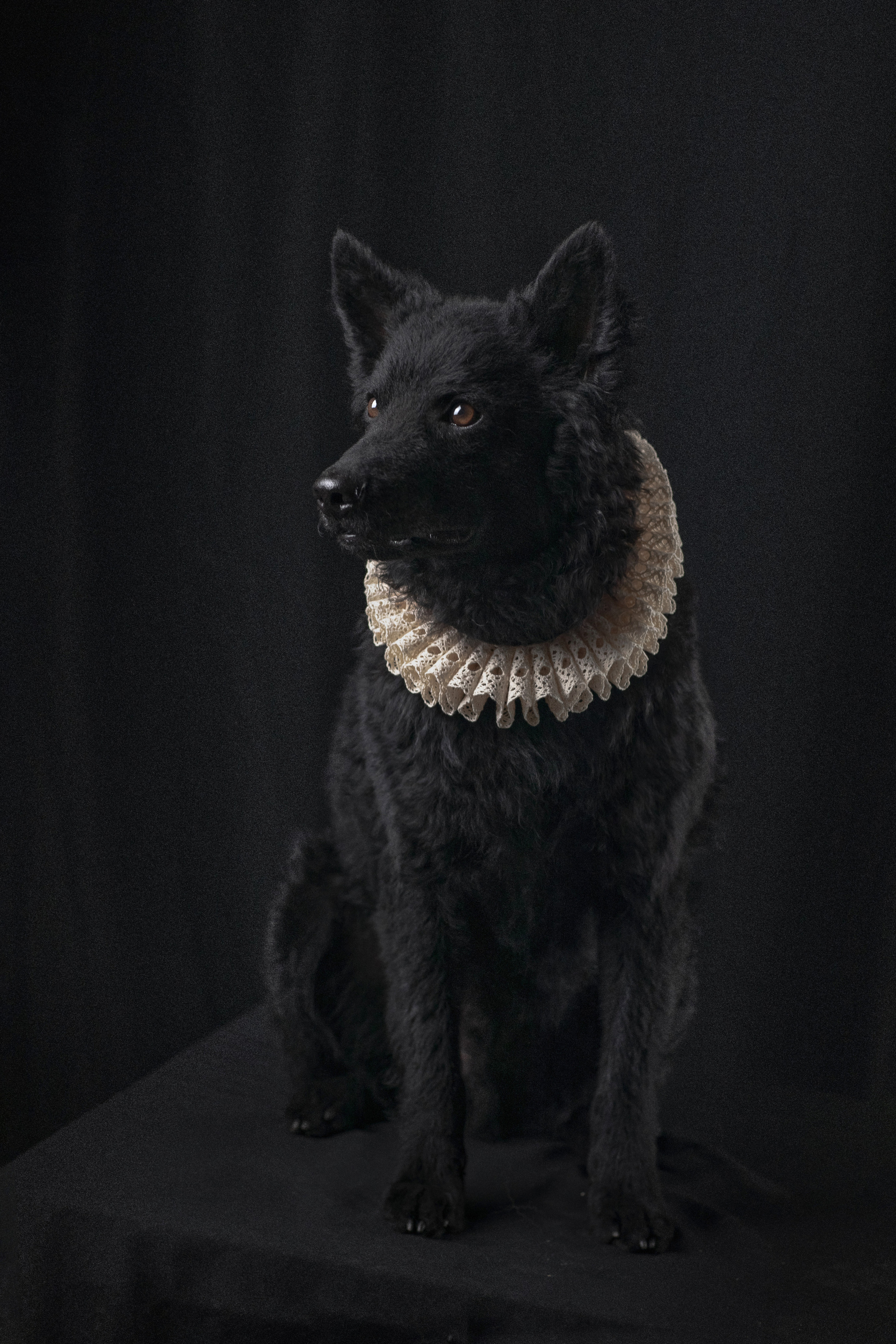 ФотоФест 2023. Fine art photographer Москва Калуга Тула Анастасии Ященко