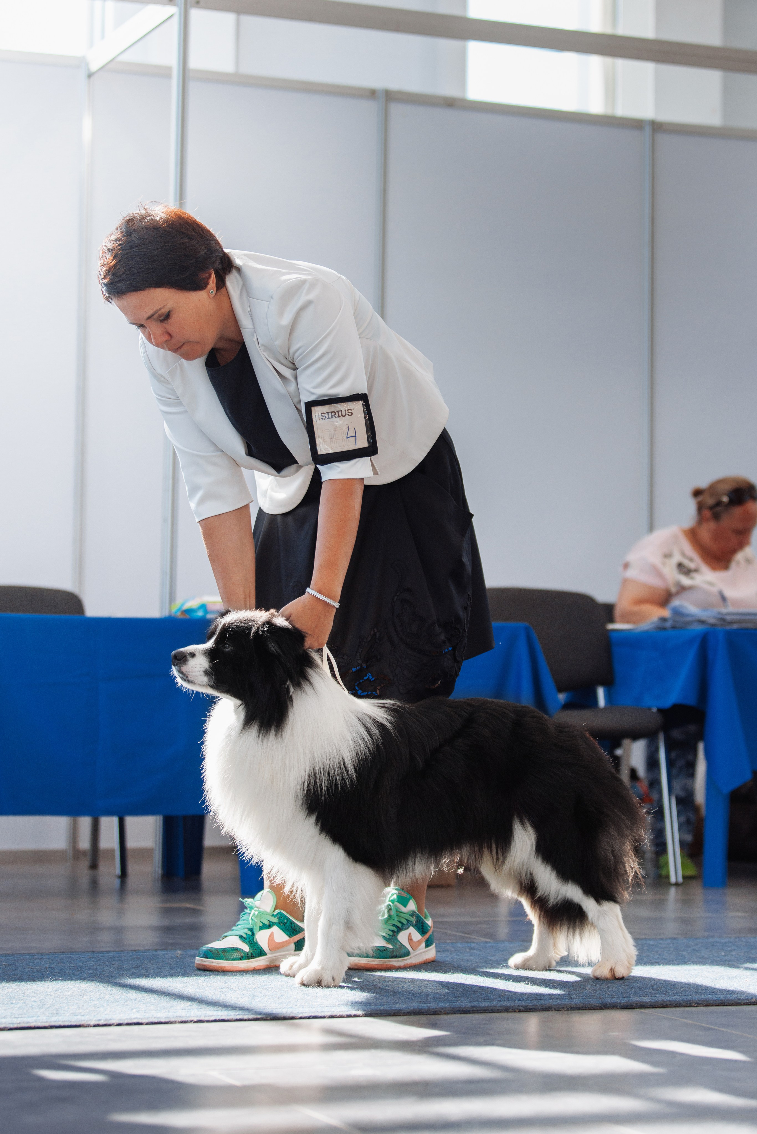 Zenith Mystique Regni — Дени. О нас