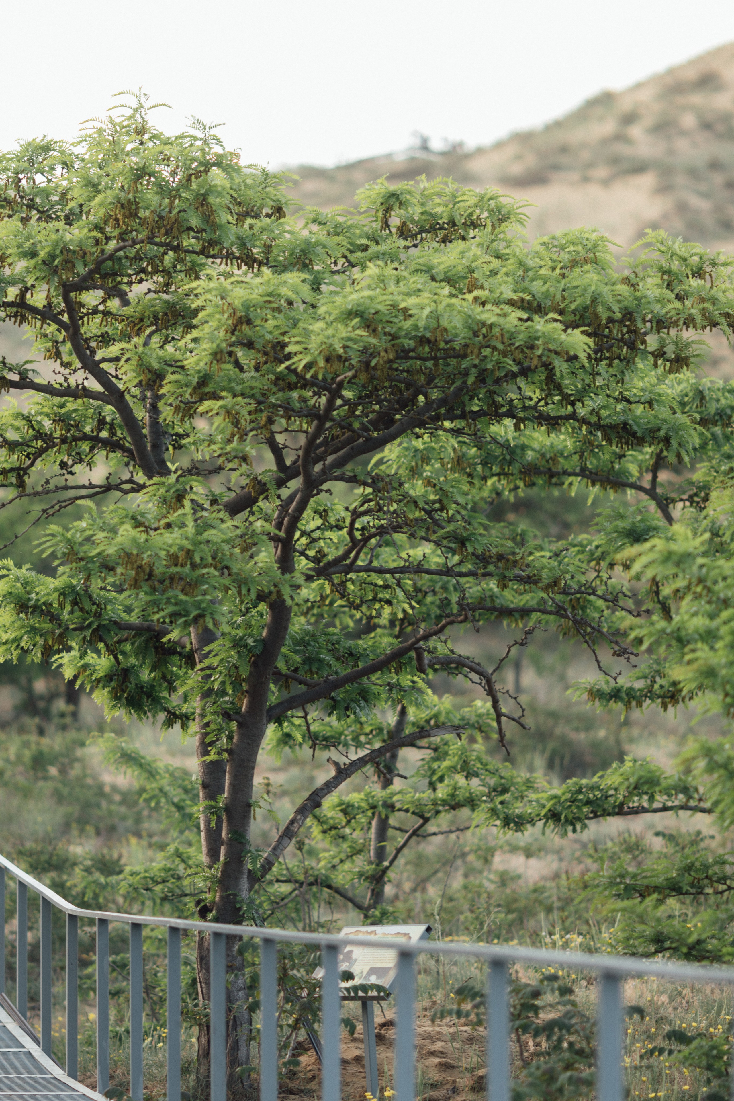 Дагестан. GIGI TOUR