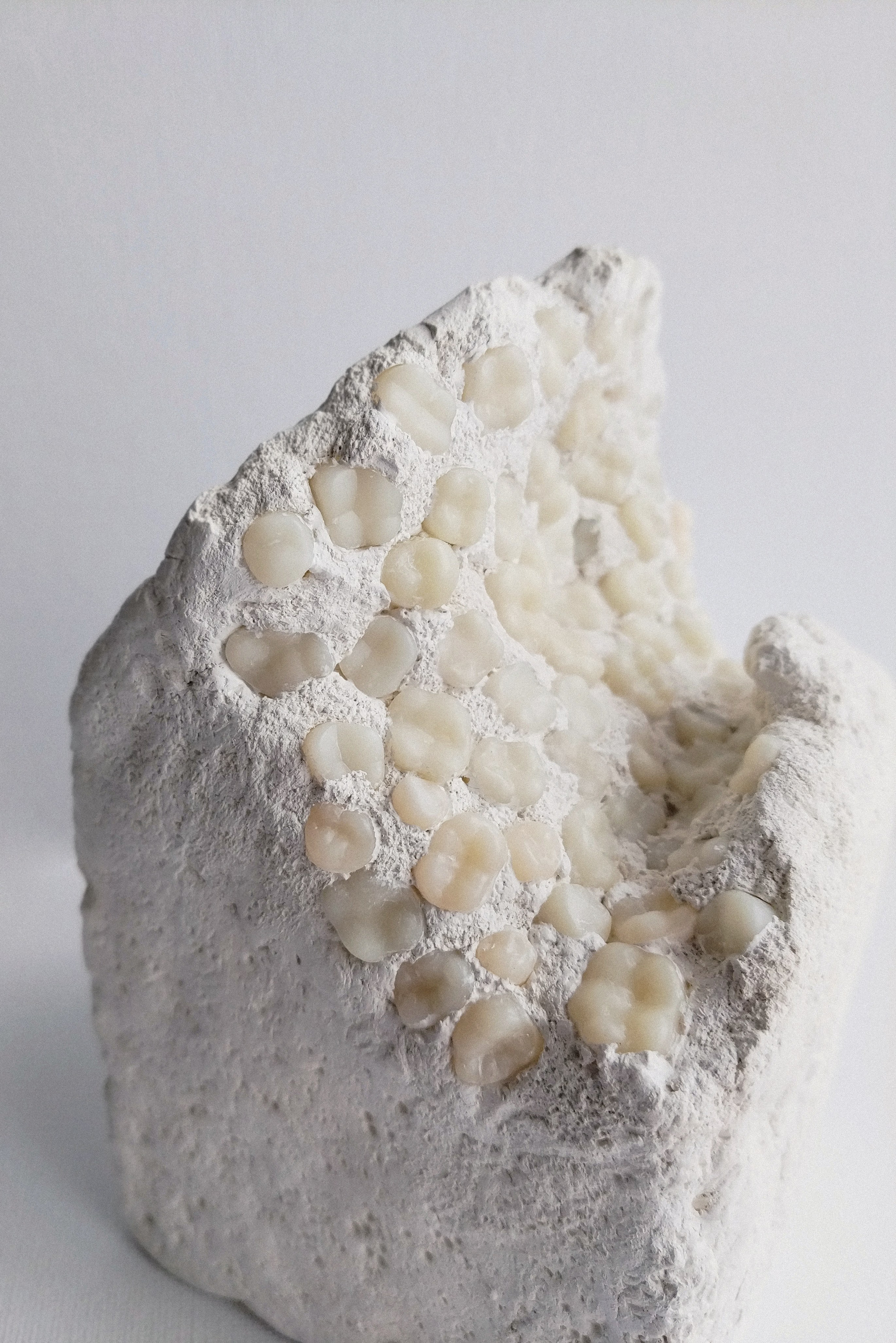 Я в домике. Ирина Петрова. Современный художник