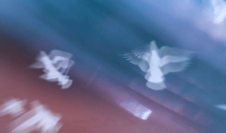 Gravity. Olesya Nakipova — fashion and documentary film director