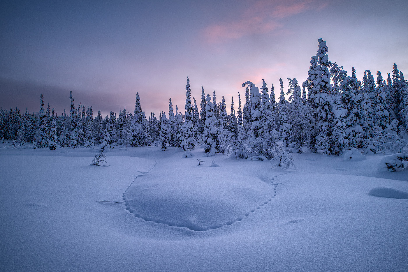 Зимняя сказка Паанаярви. Андрей Баскевич пейзажный и travel-фотограф в Зеленограде
