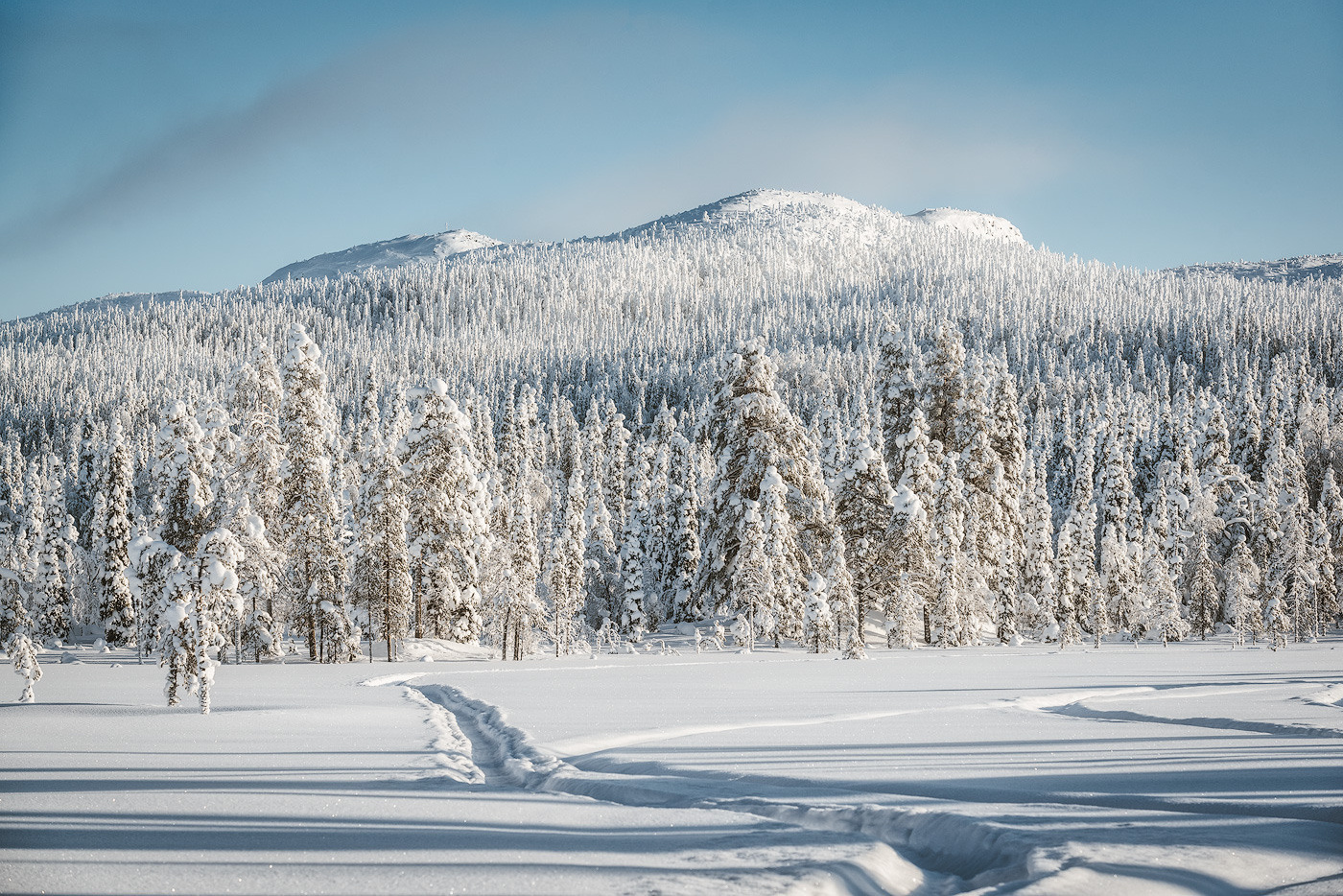 Гора Кивакка в Национальном парке Паанаярви зимой