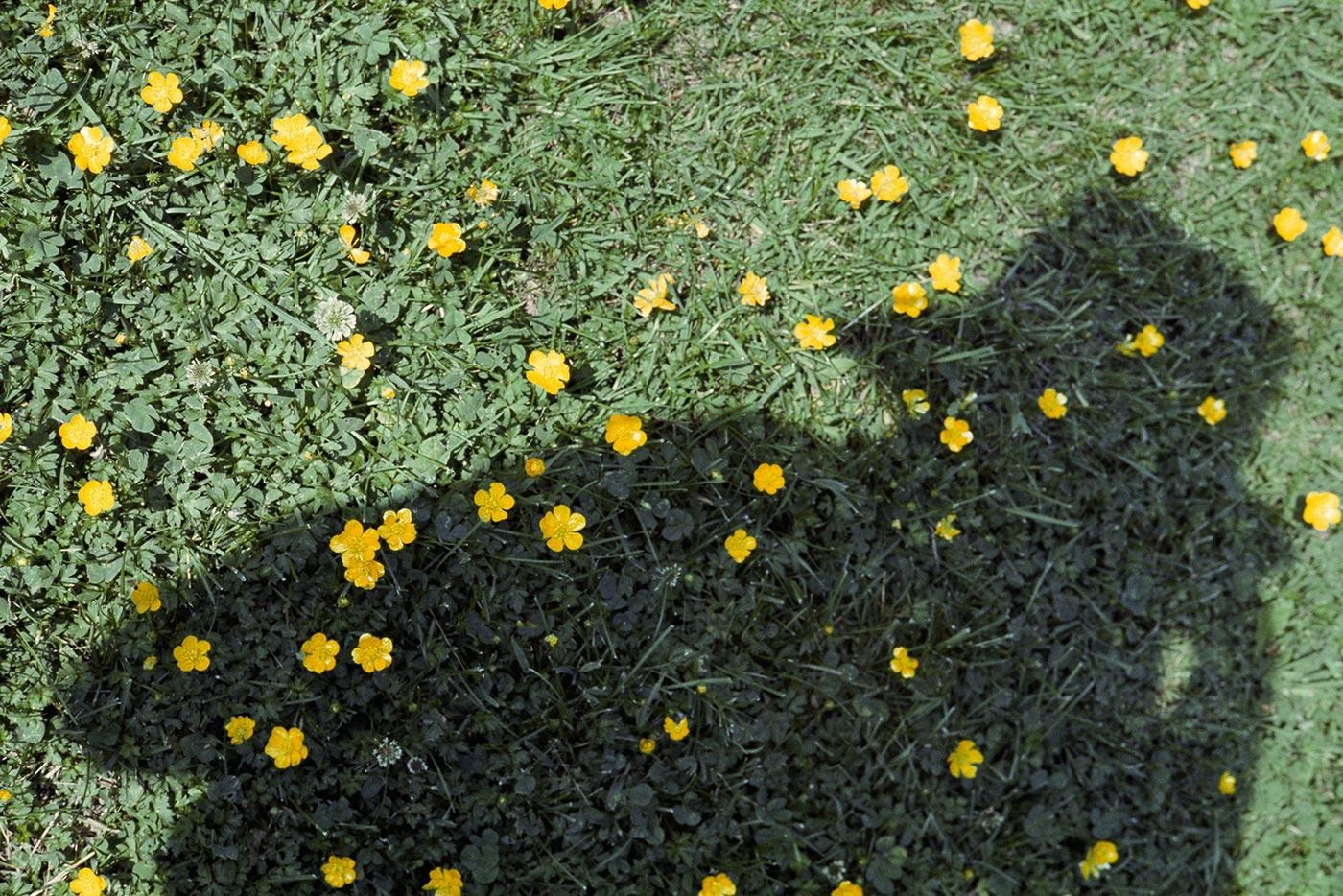 Вивьен Майер — лучшие фото. Фотограф | Макс Коробкин