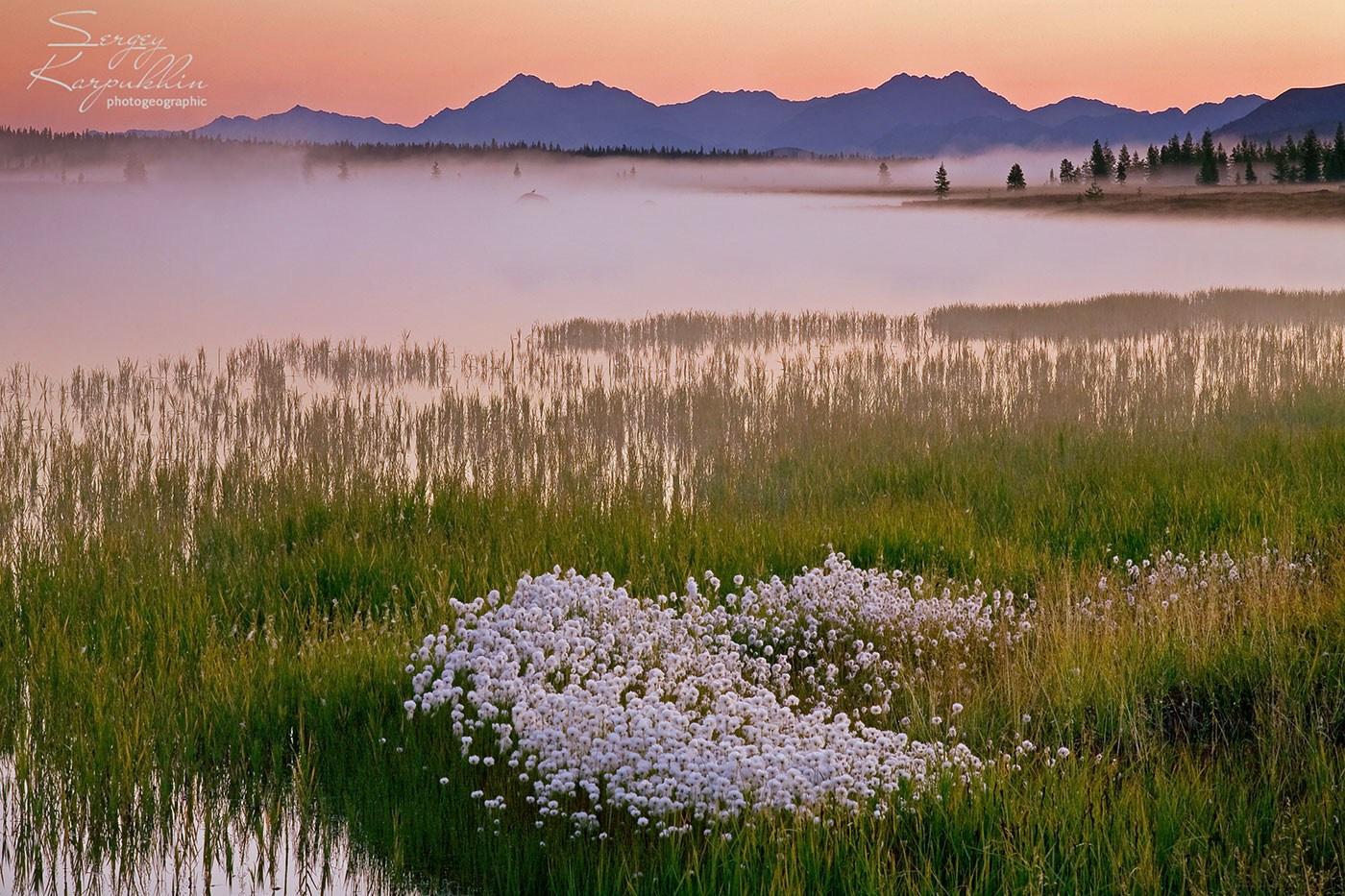 Там, где отражается небо