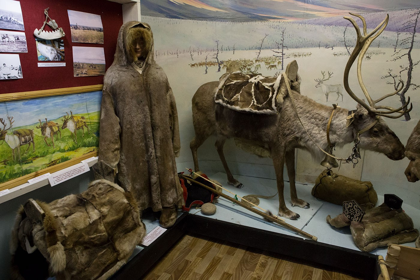 Фотоотчет Оленёк 2018