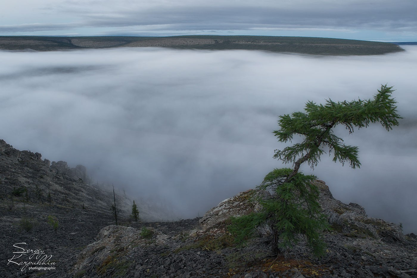 Река Оленёк