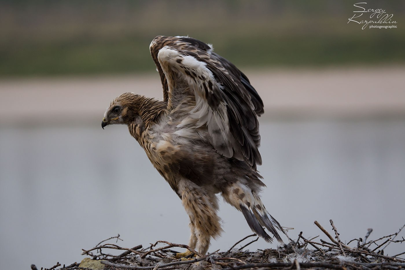 Река Оленёк