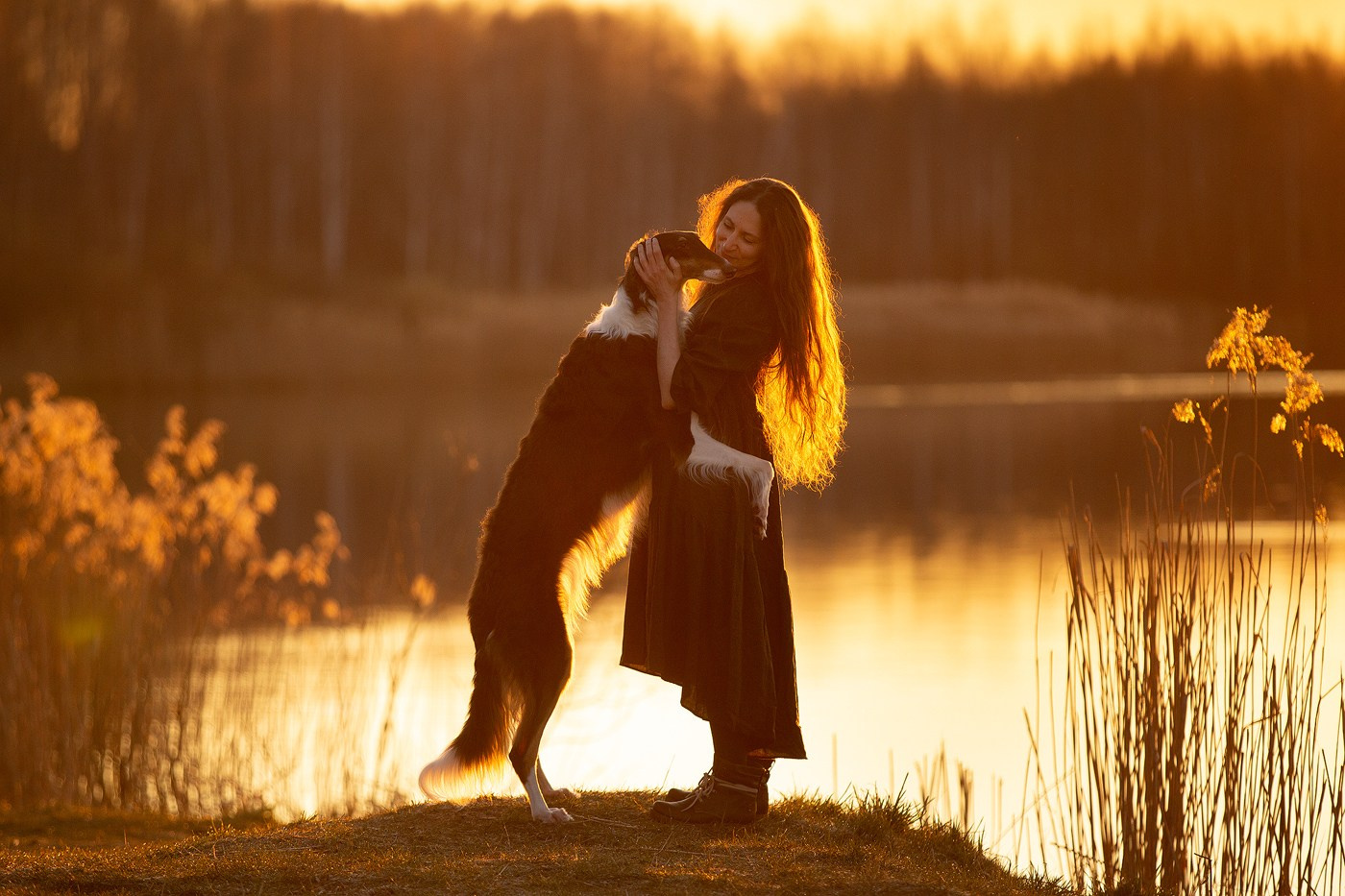 Выбираем тип съёмки. Фотограф-анималист Natalia Deingel | Фотосъемка собак в Москве