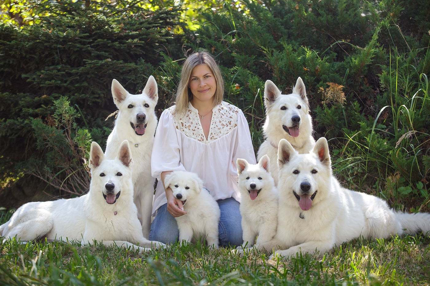 Услуги. Фотограф-анималист Natalia Deingel | Фотосъемка собак в Москве
