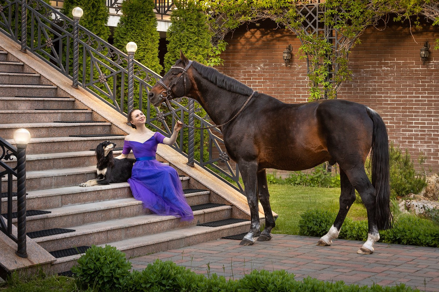Выбираем тип съёмки. Фотограф-анималист Natalia Deingel | Фотосъемка собак в Москве