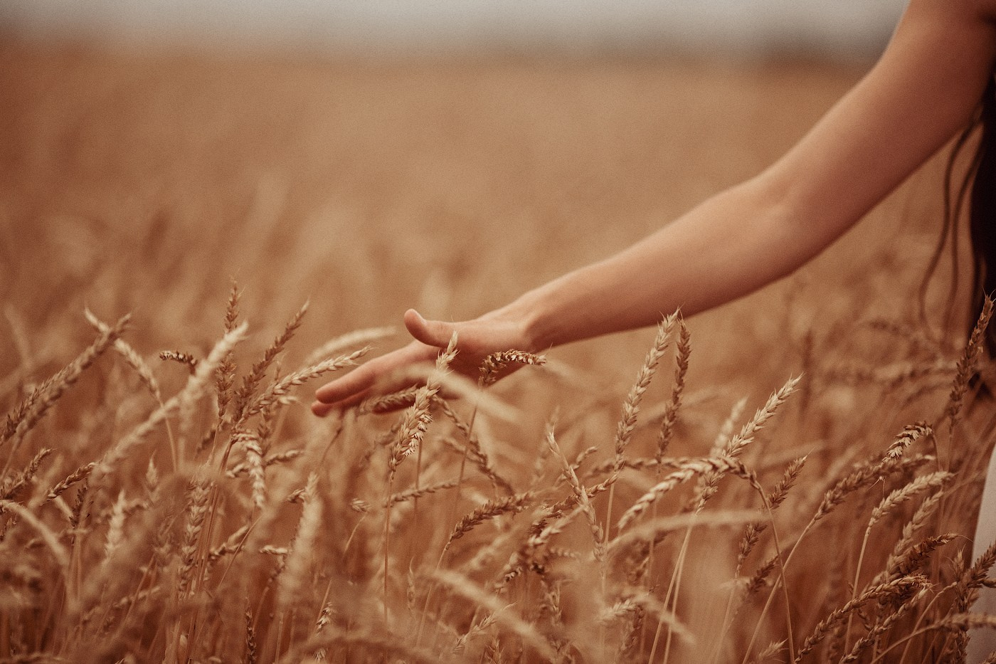 Фотосессия за 10 минут: как получить модельные кадры в поле. Профессиональный фотограф в Москве. Елена Шуваева