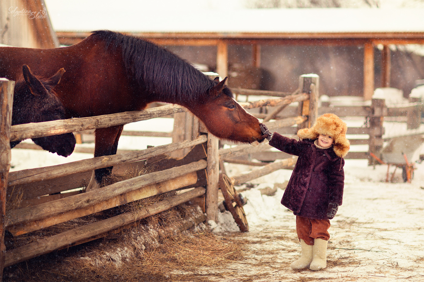 Мастер-классы, воркшопы, фототуры. Фотограф в Москве и Европе