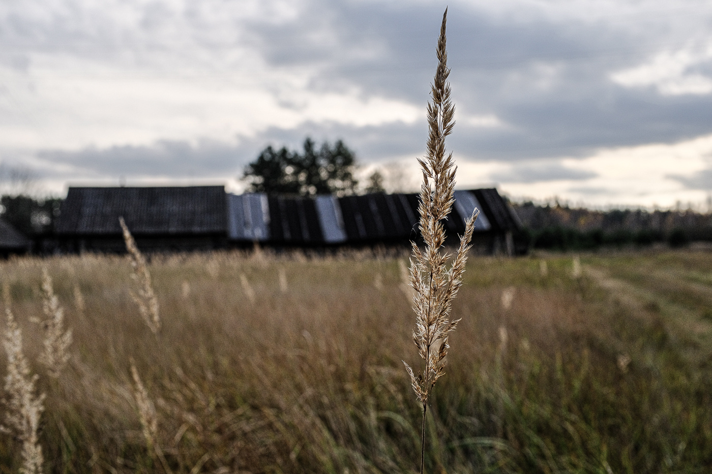 Фотограф Максим Малиновский