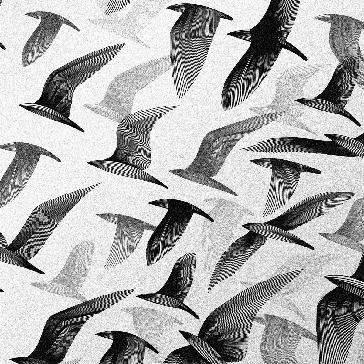 FAQ. ФОТОГРАФ И ВИДЕОГРАФ в Крыму Андрей Кулак