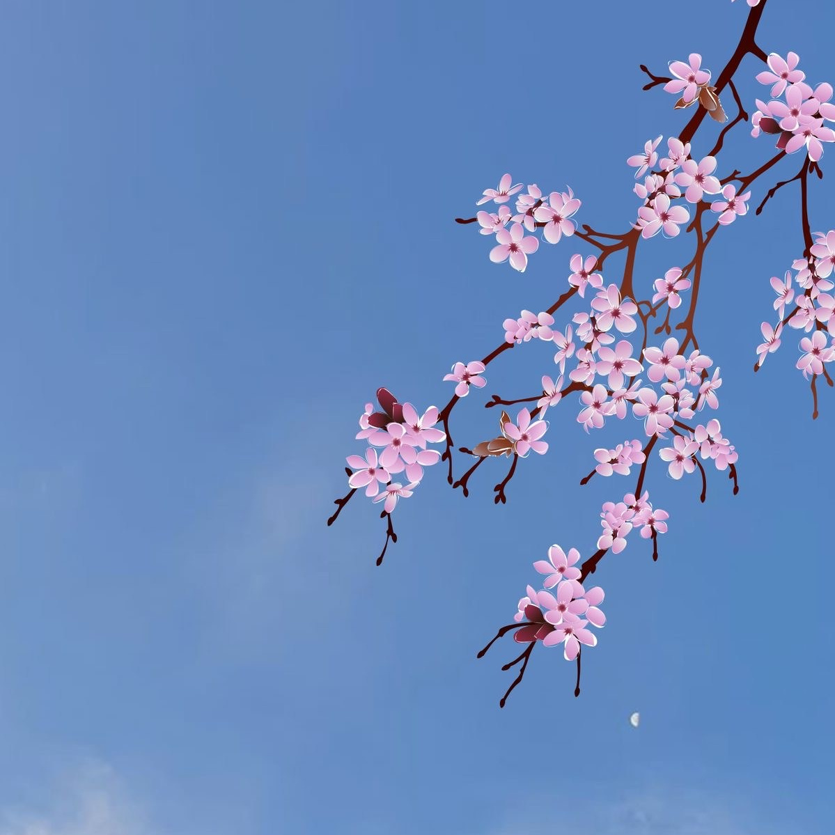 Romantic couple photoshoot sa ilalim ng mga puno ng sakura sa Busan