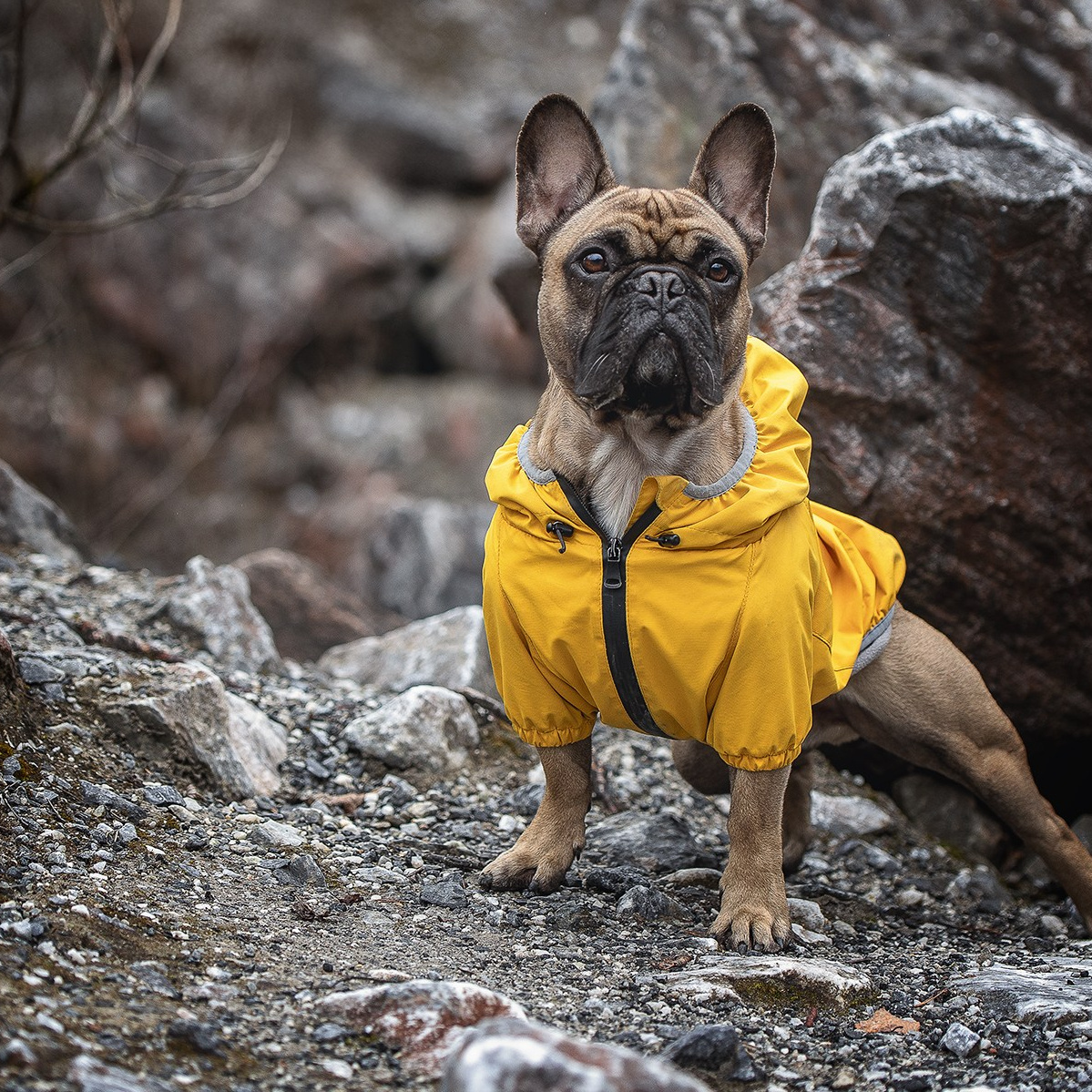 Обо мне. Фотограф-анималист в Москве и Подмосковье