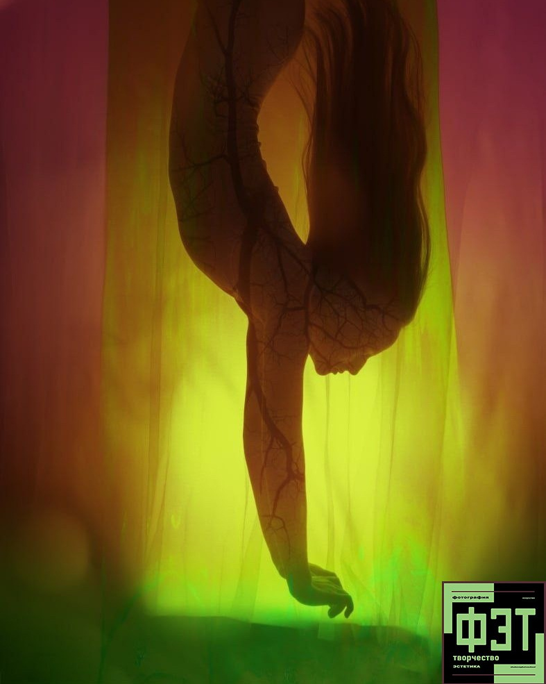 Альбом 12.04.26 в рамках ФЭТ