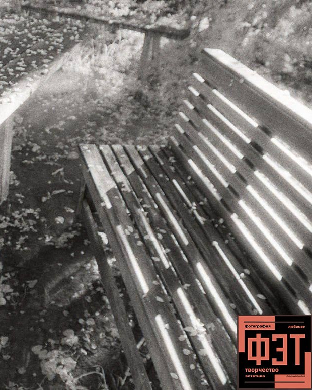 Альбом 25.01.26 в рамках ФЭТ