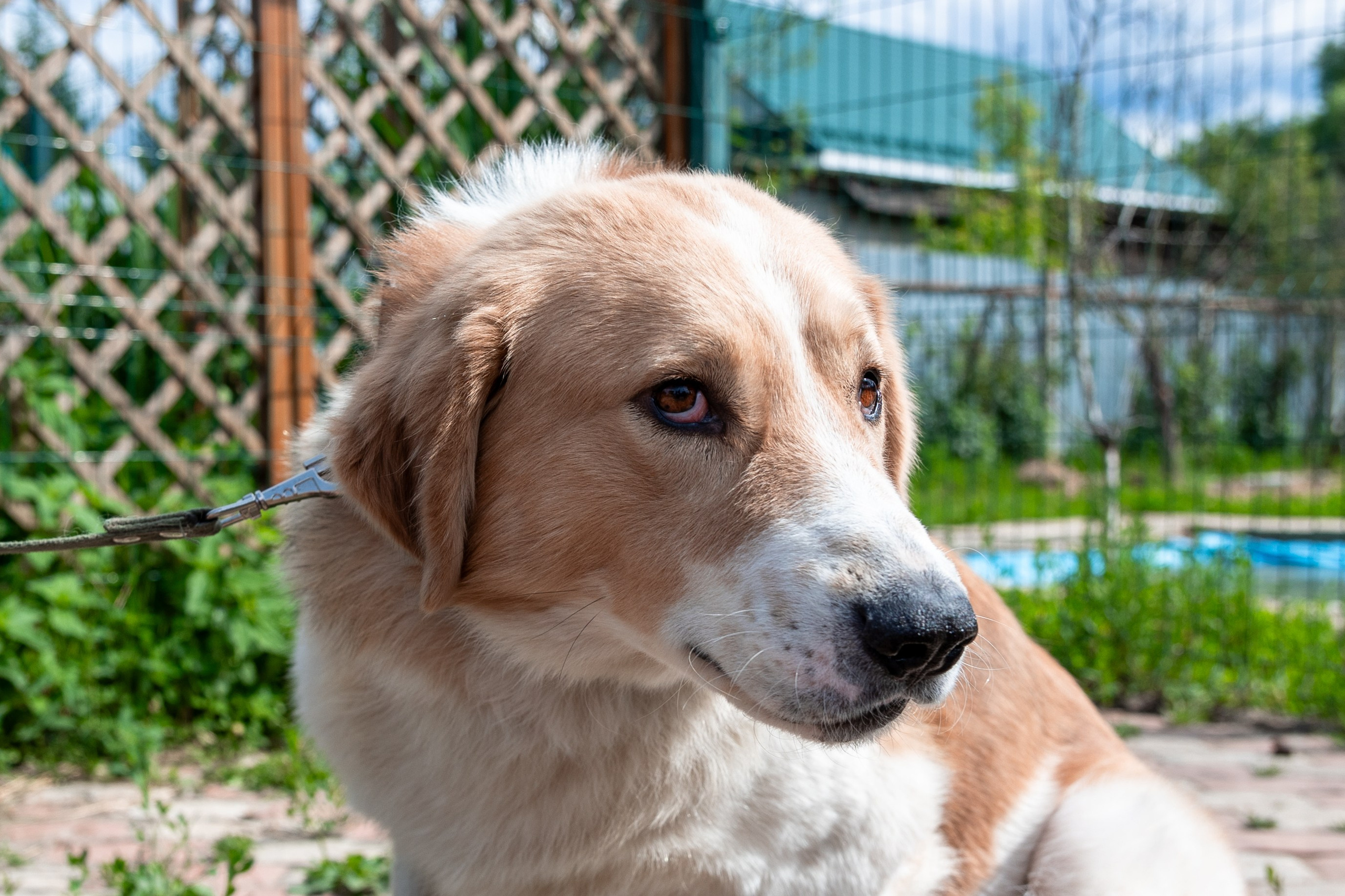 Priyut-gostinica. Professional photographer Alexey Nikitin in Moscow