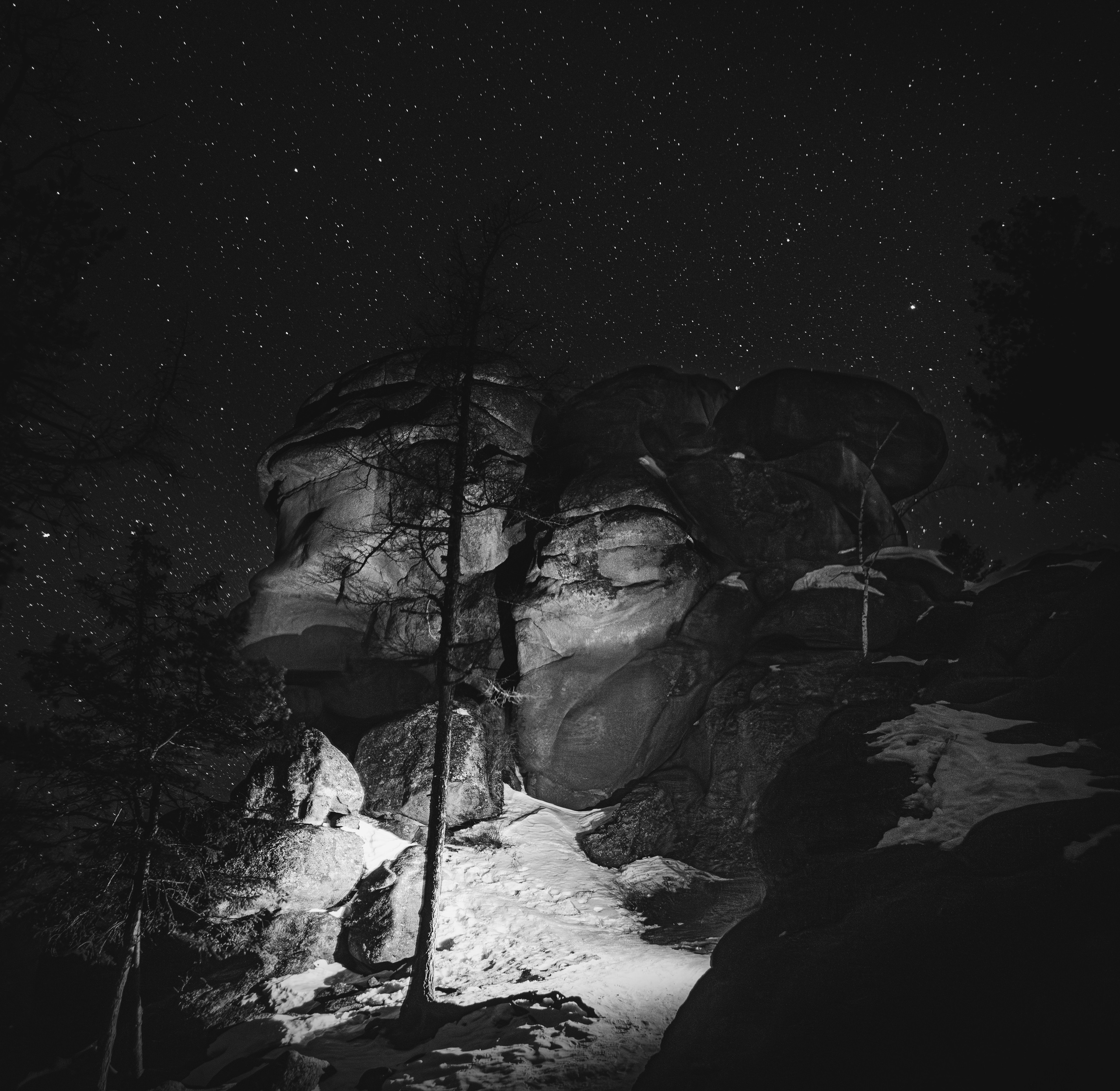 Дед. Элина Гусарова