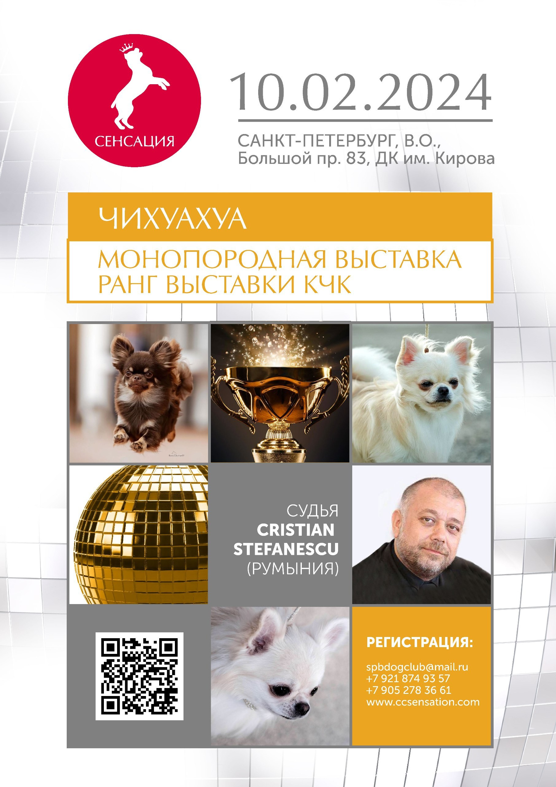 10-11.02.2024 ВЫСТАВКА СОБАК ВСЕХ ПОРОД «СЕНСАЦИЯ-2024». Кинологический клуб РКФ РФСС СЕНСАЦИЯ