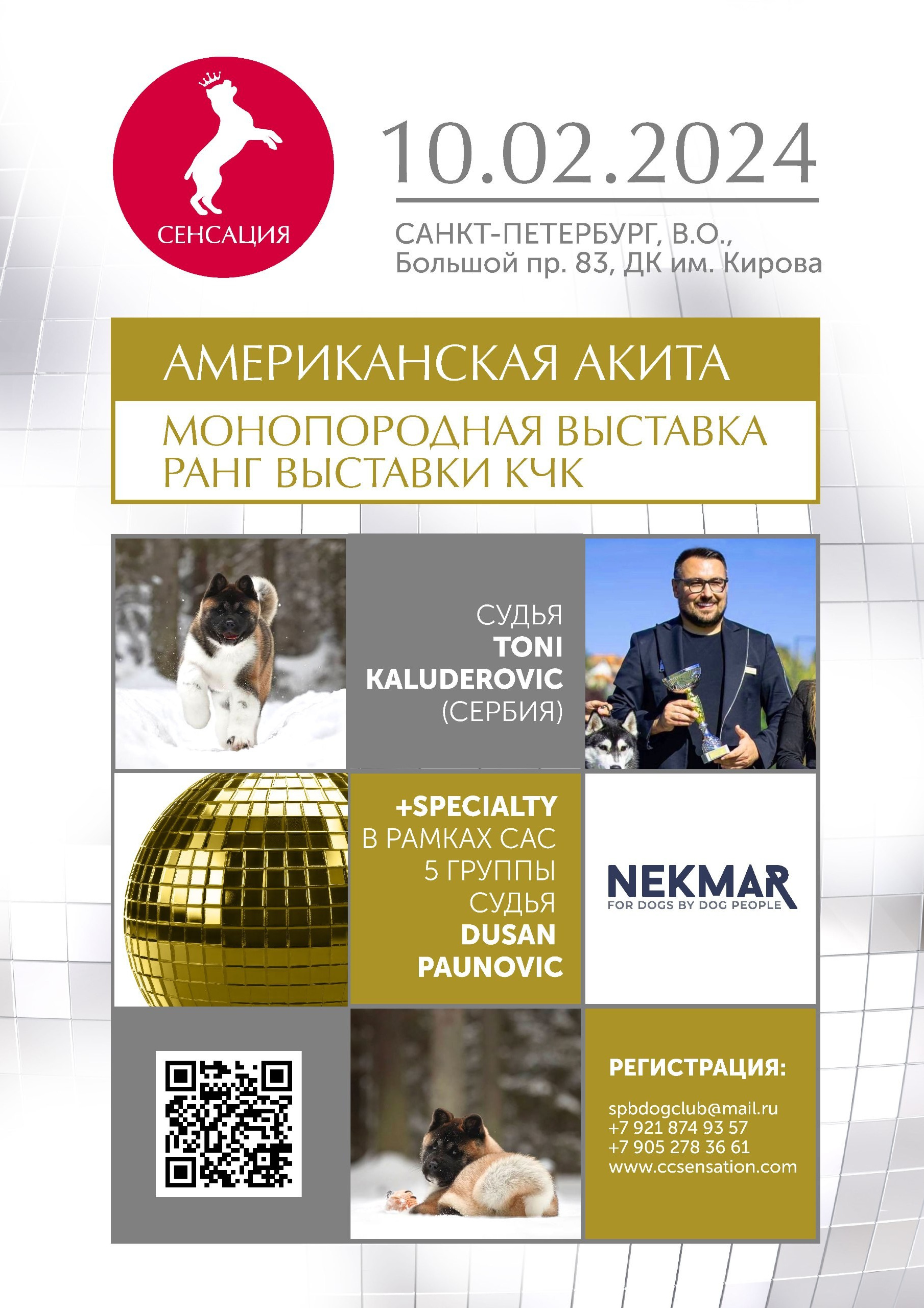 10-11.02.2024 ВЫСТАВКА СОБАК ВСЕХ ПОРОД «СЕНСАЦИЯ-2024». Кинологический клуб РКФ РФСС СЕНСАЦИЯ