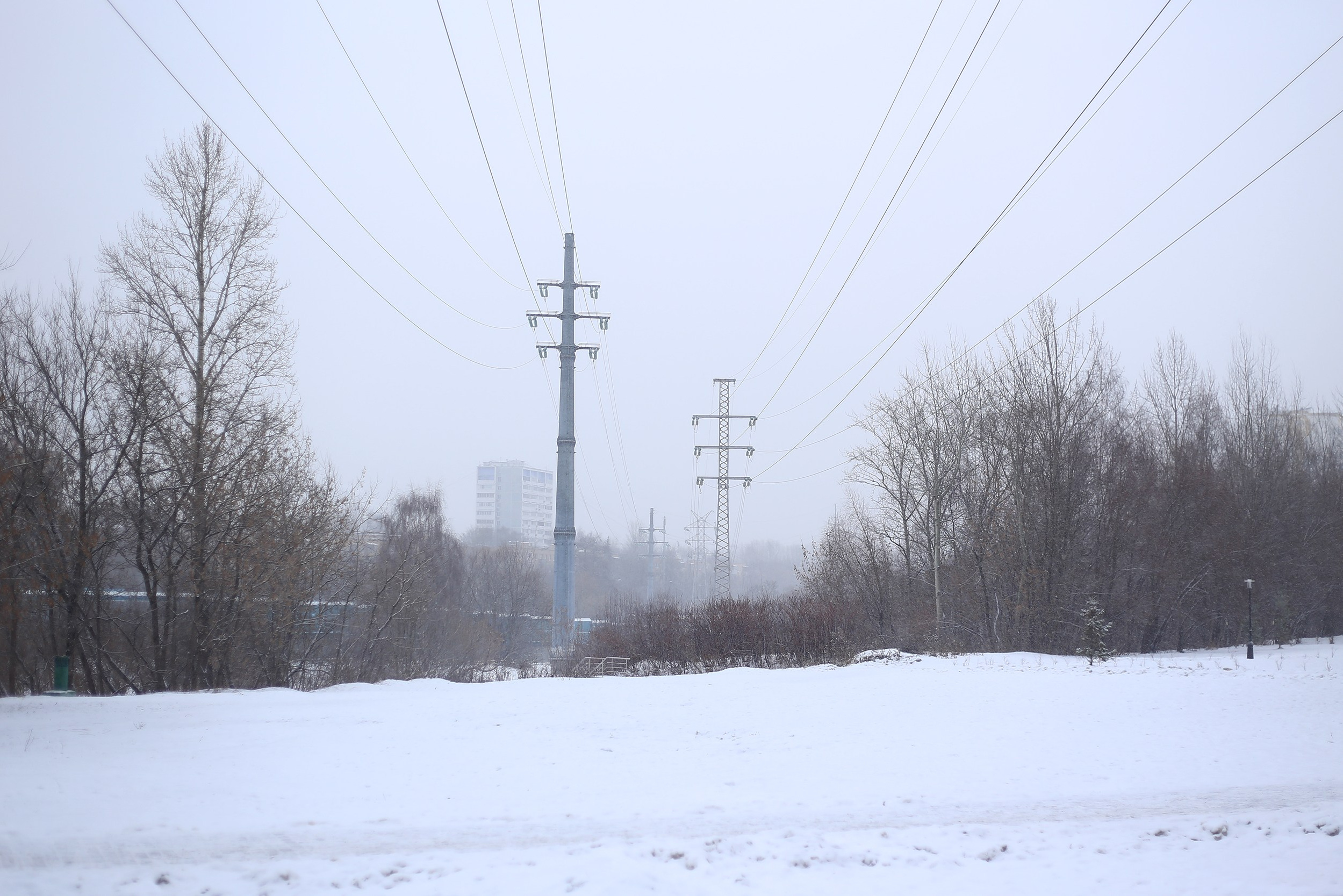 Старенькие дети: Лариса. Юлия Алтухова, мультимедиа художница