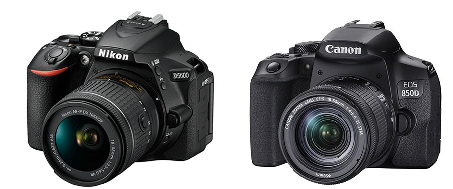 Какую камеру выбрать? Рекомендации тем, кто решил стать фотографом. Флористическая, интерьерная и портретная съемка в Москве и Европе