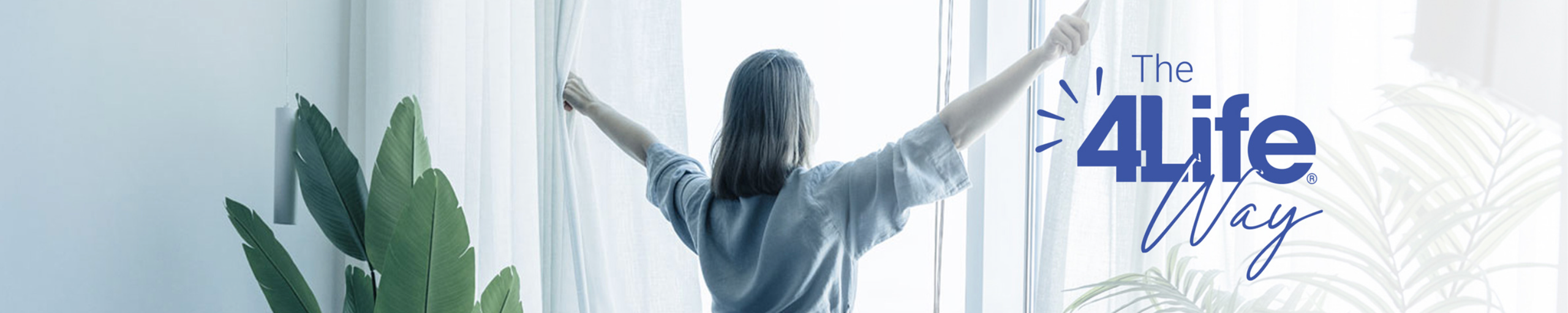 С чего начать знакомство с трансфер фактором