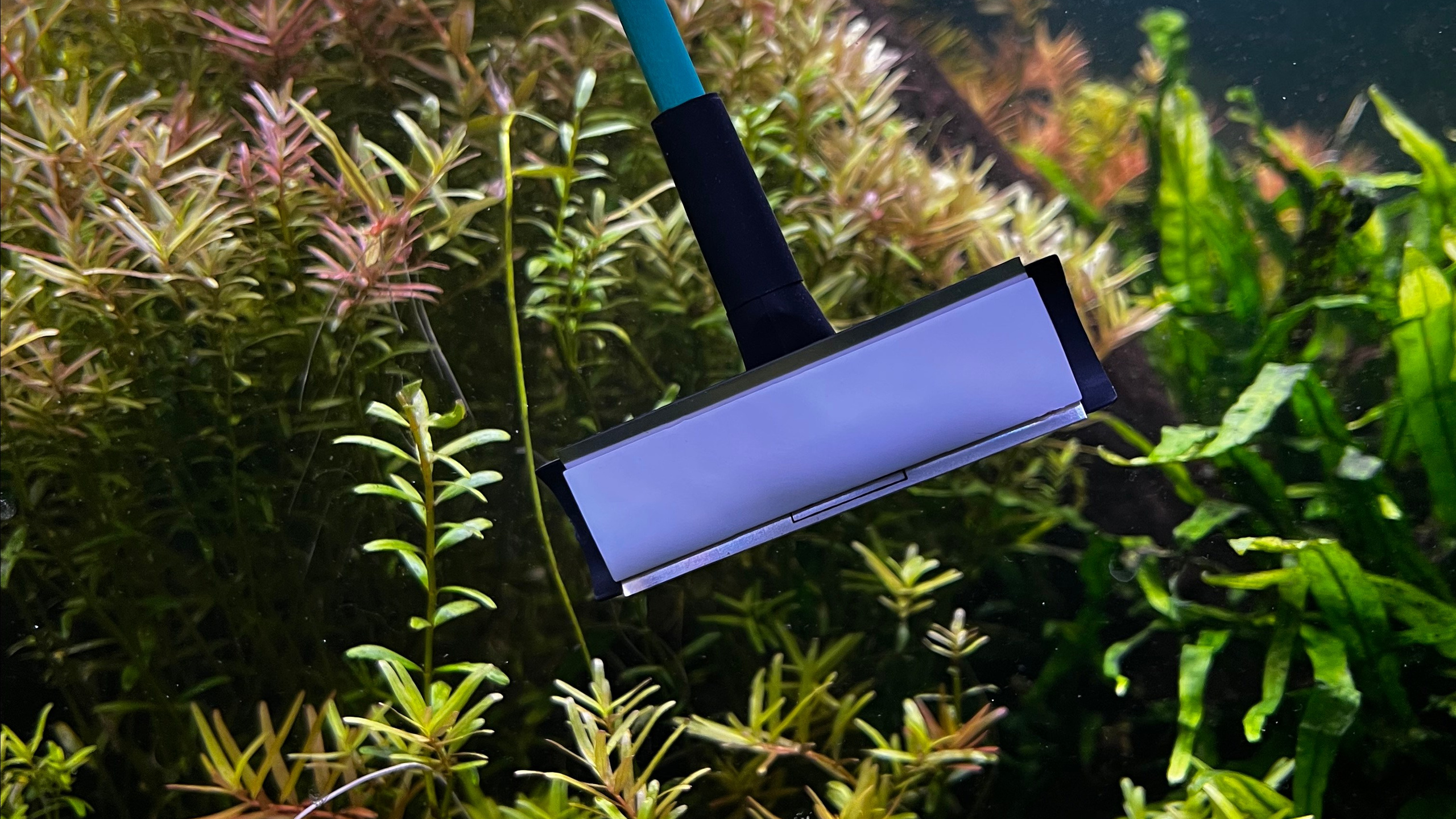 Цены и услуги. Аквариумист Максим Ерёмин. Aqua Maxim