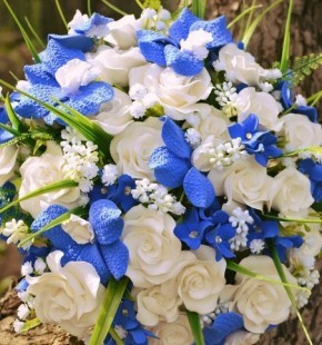 Свадебные стили 2017. Видеосъёмка в Барнауле и Новосибирске Александр Шерстнёв