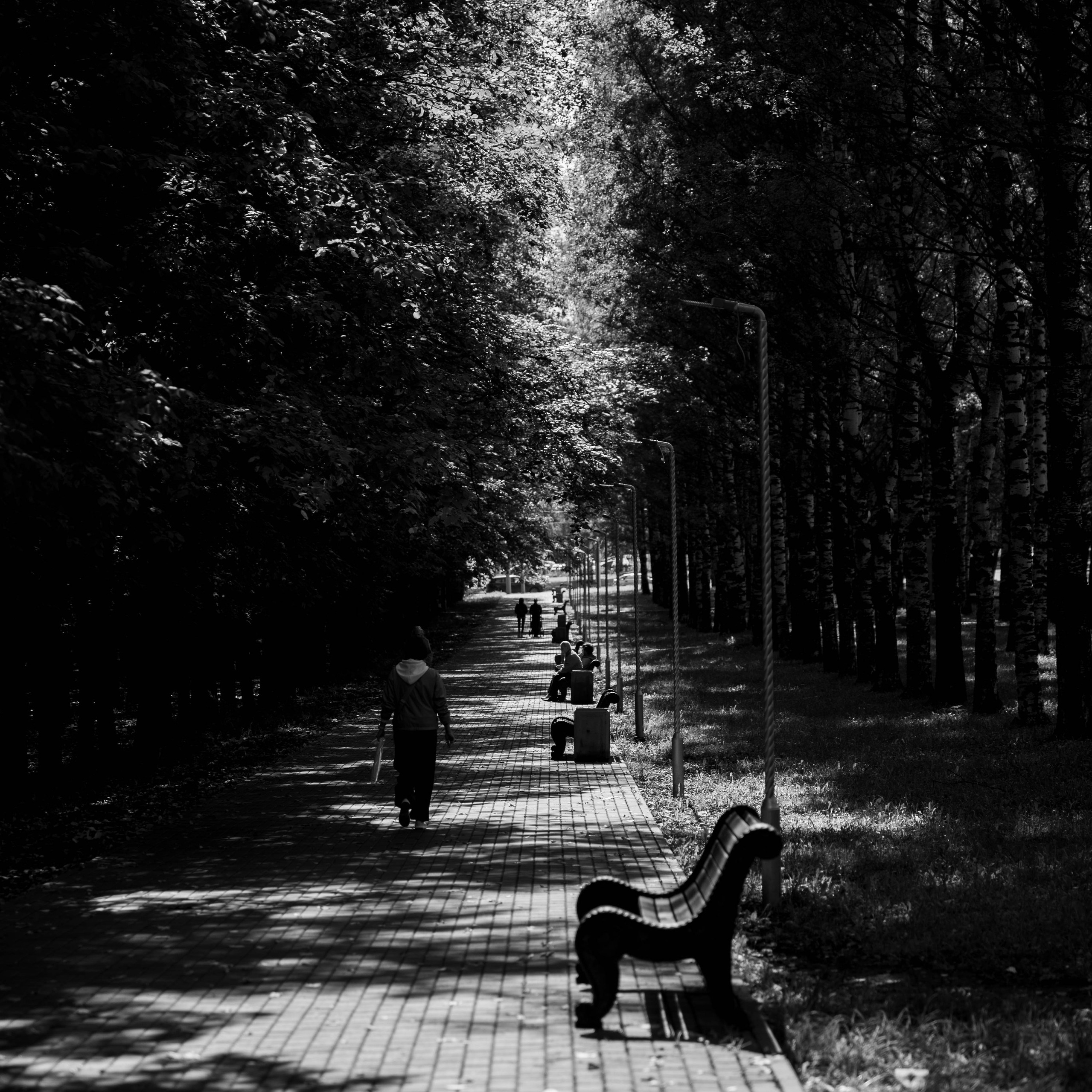 Фуд-фотограф в Кирове Антон Андреев