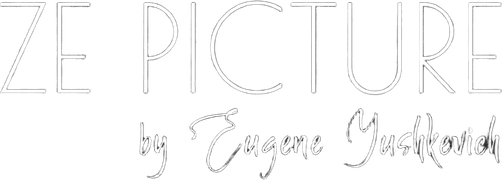zepicture.com