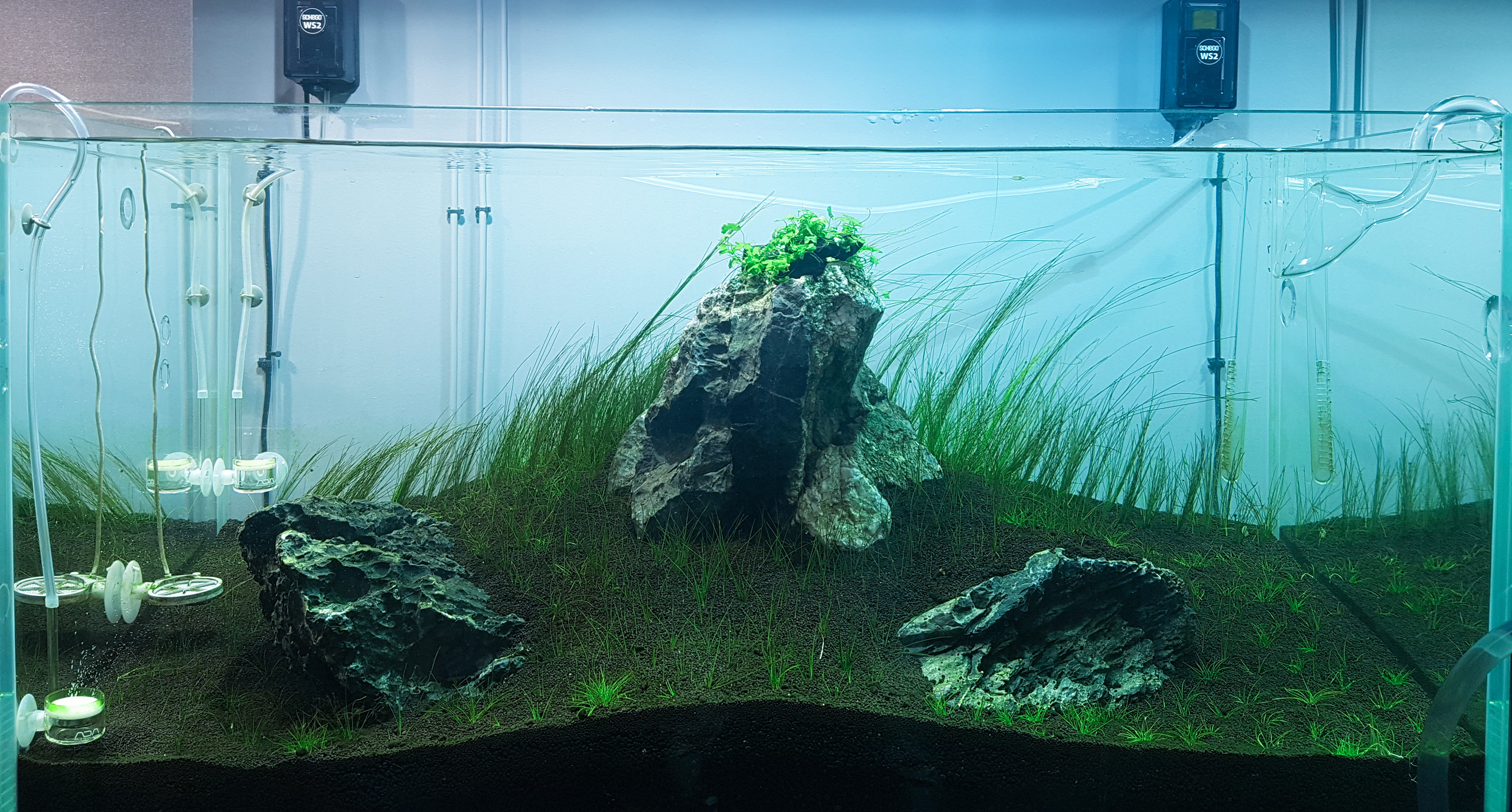 Оформление аквариума. Home