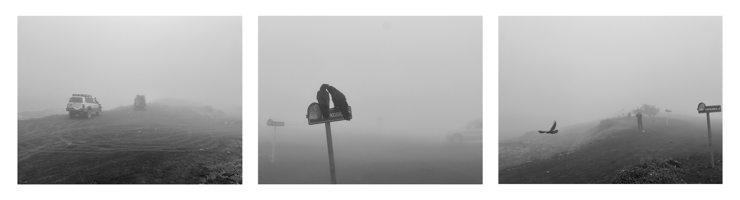 Фотосушка. Интервалы. Центр Zotov 03.04-19.04.2026. Tutta Gnutta