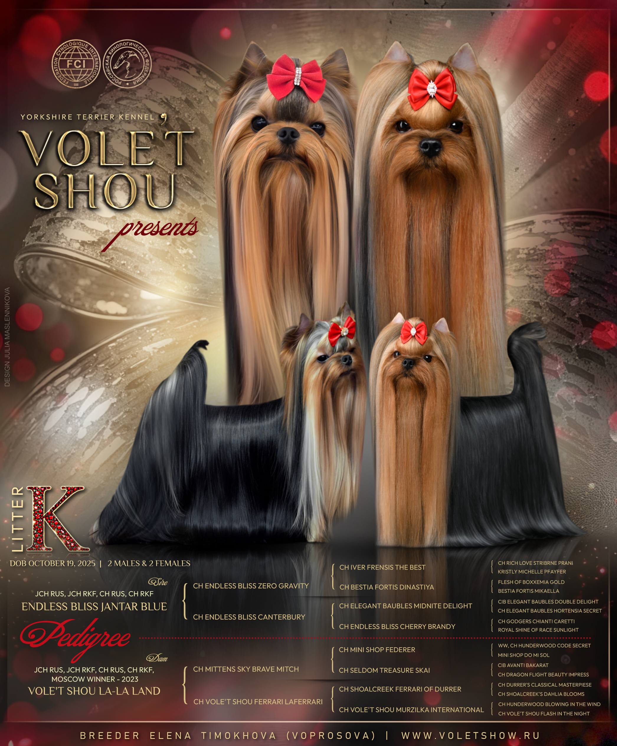 Разведение йоркширских терьеров. Питомник Воле'Т Шоу Vole'T Shou. Йоркширский терьер — питомник йоркширских терьеров Vole'T Shou