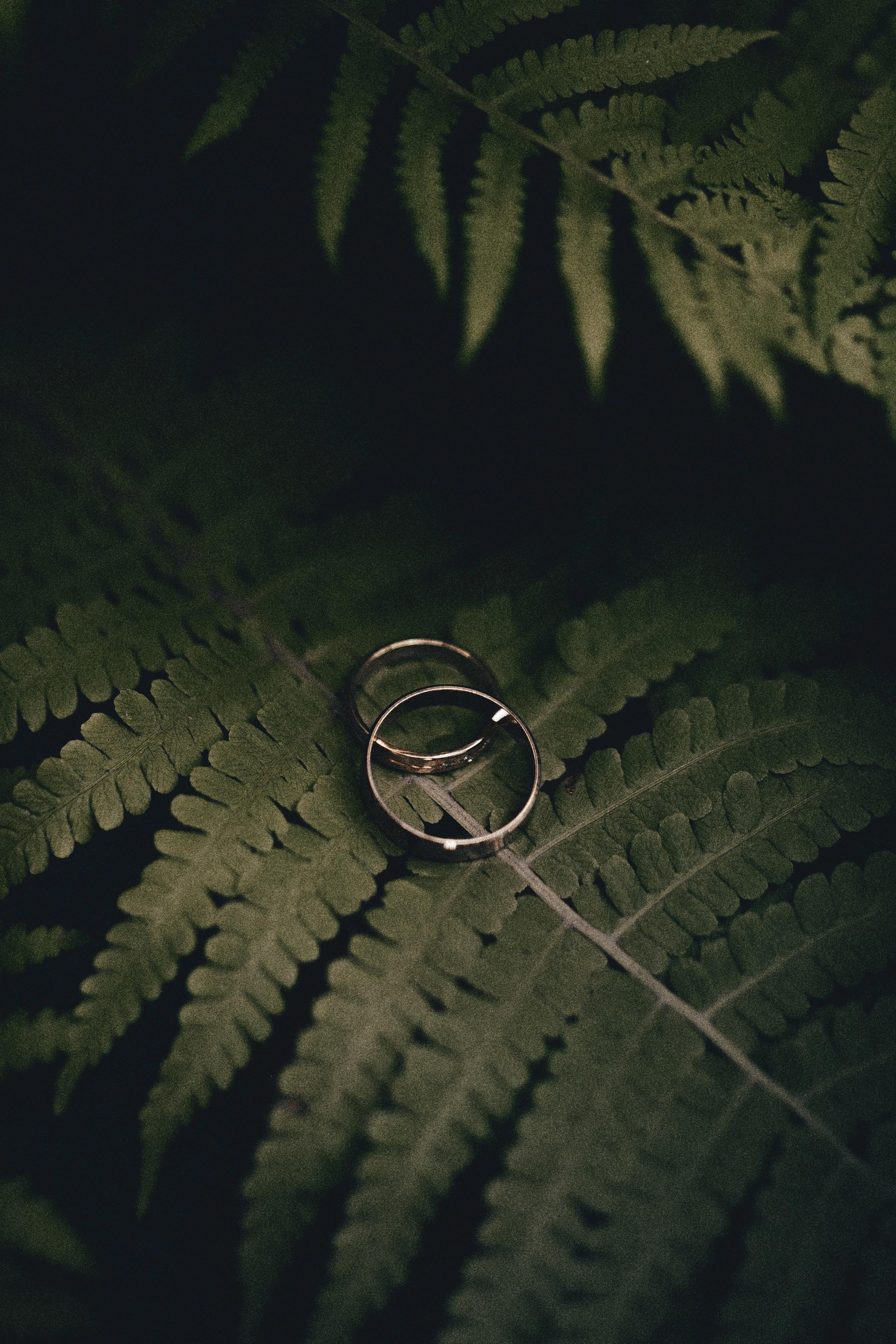 Контакты. Фотограф Павел Рыжков