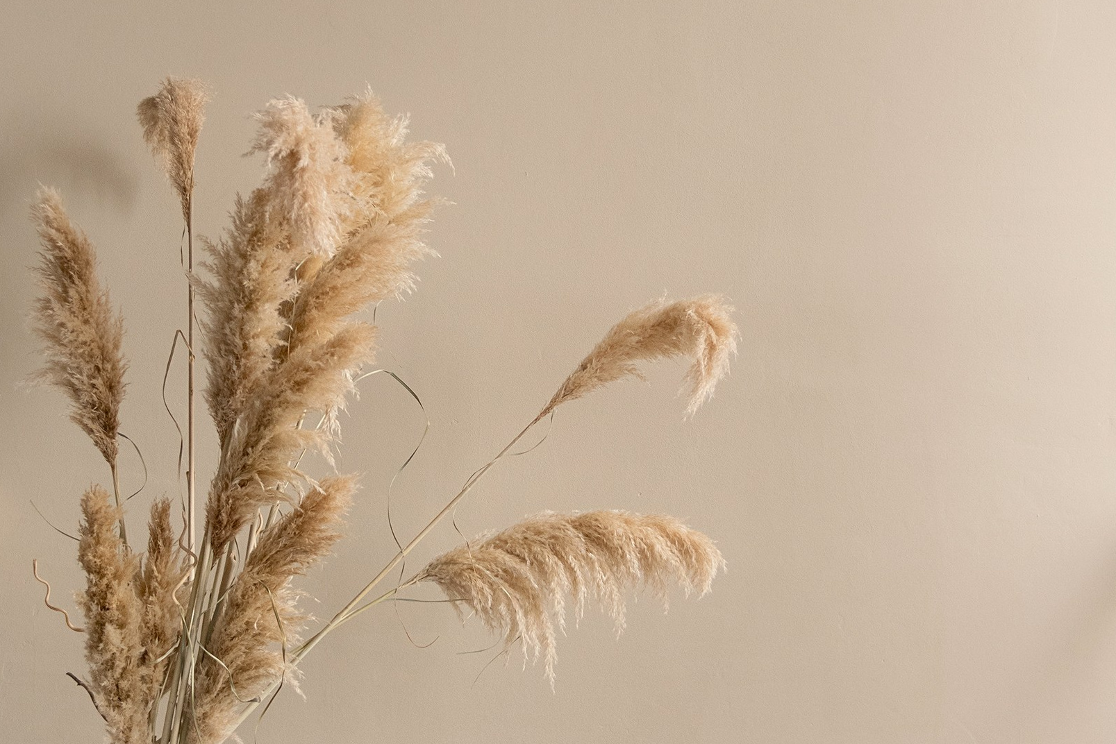 Аренда. ФОТОСТУДИЯ СЕНСАЦИЯ | Рязань