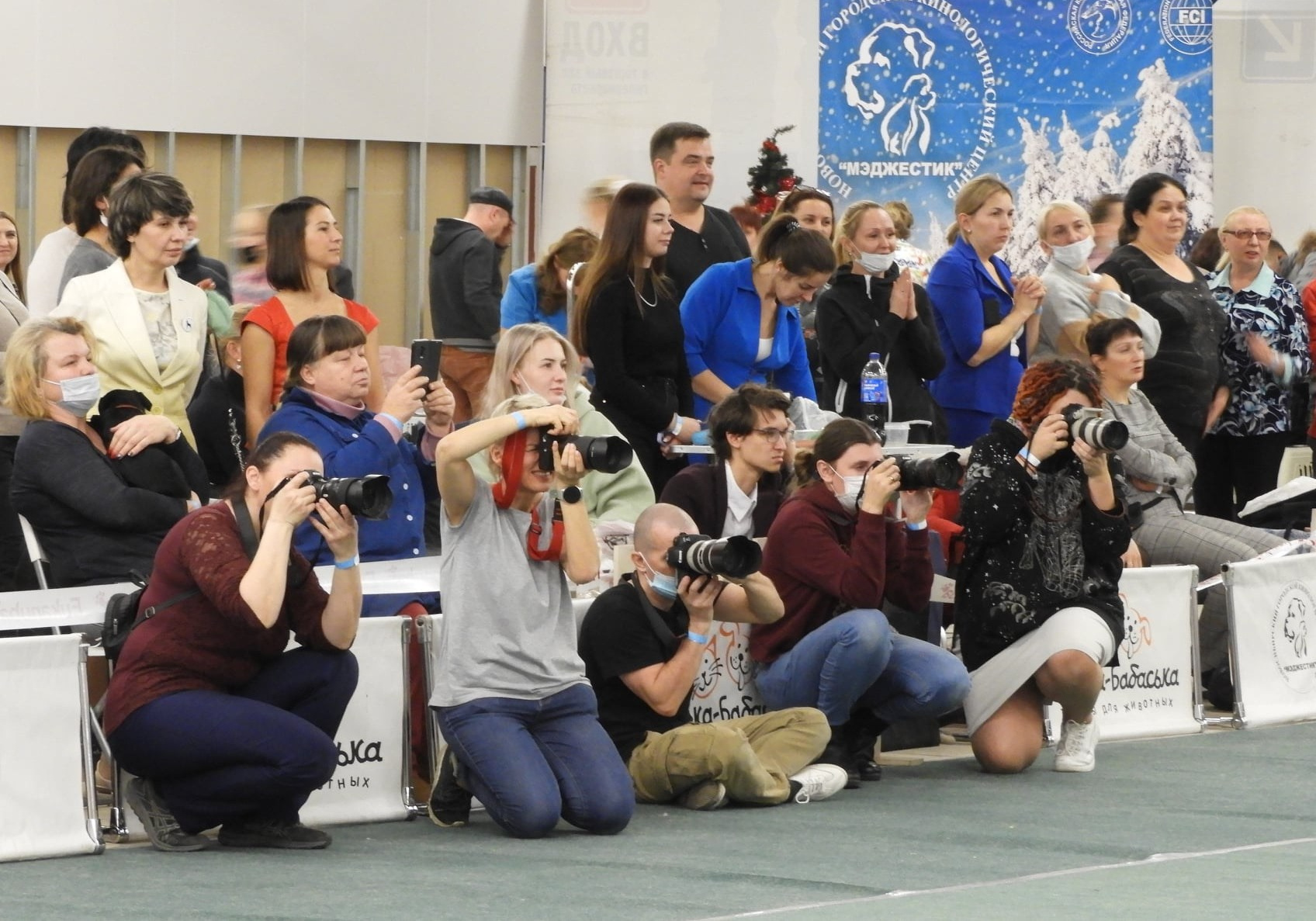 ✅ О СЕБЕ. Фотограф анималист Елена Галдина г. Красноярск