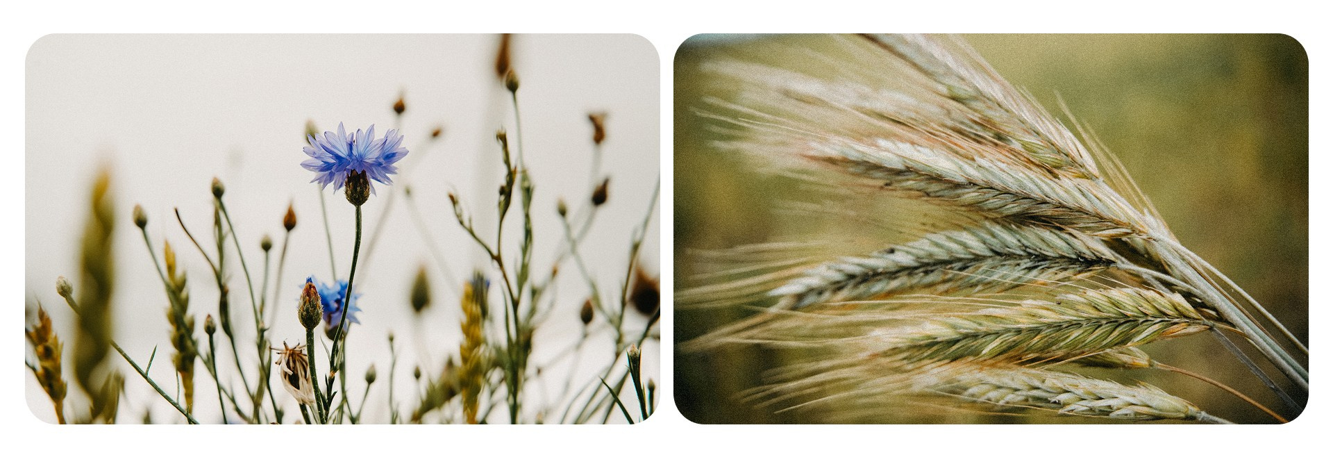 Калининград 3. Фотограф из Москвы — DASHA NOVA | Авторская фотография в разных жанрах