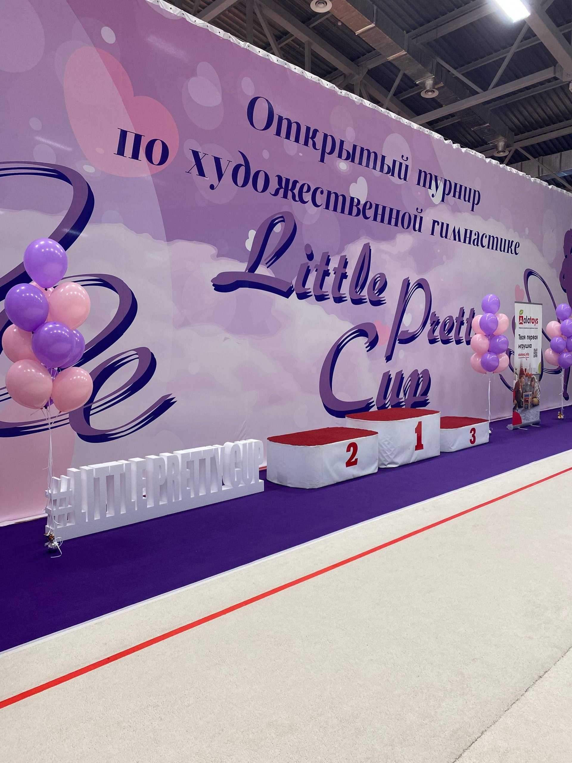 07.02.2026 Little Pretty Cup. Спортивный фотограф художественная гимнастика RG Сергей Тарасов