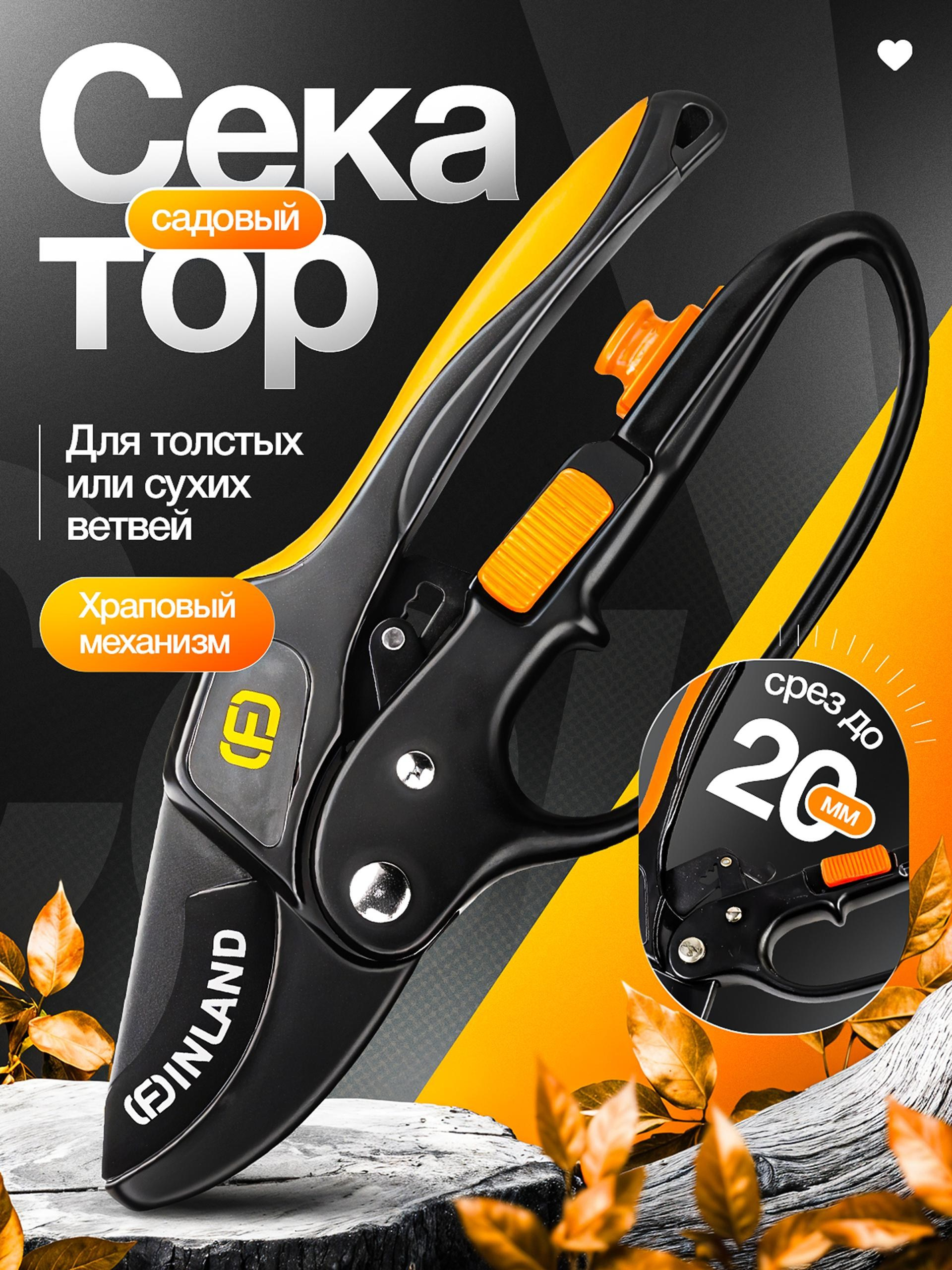 Vexora студия дизайна для e-commerce, рост продаж на Wildberries и Ozon