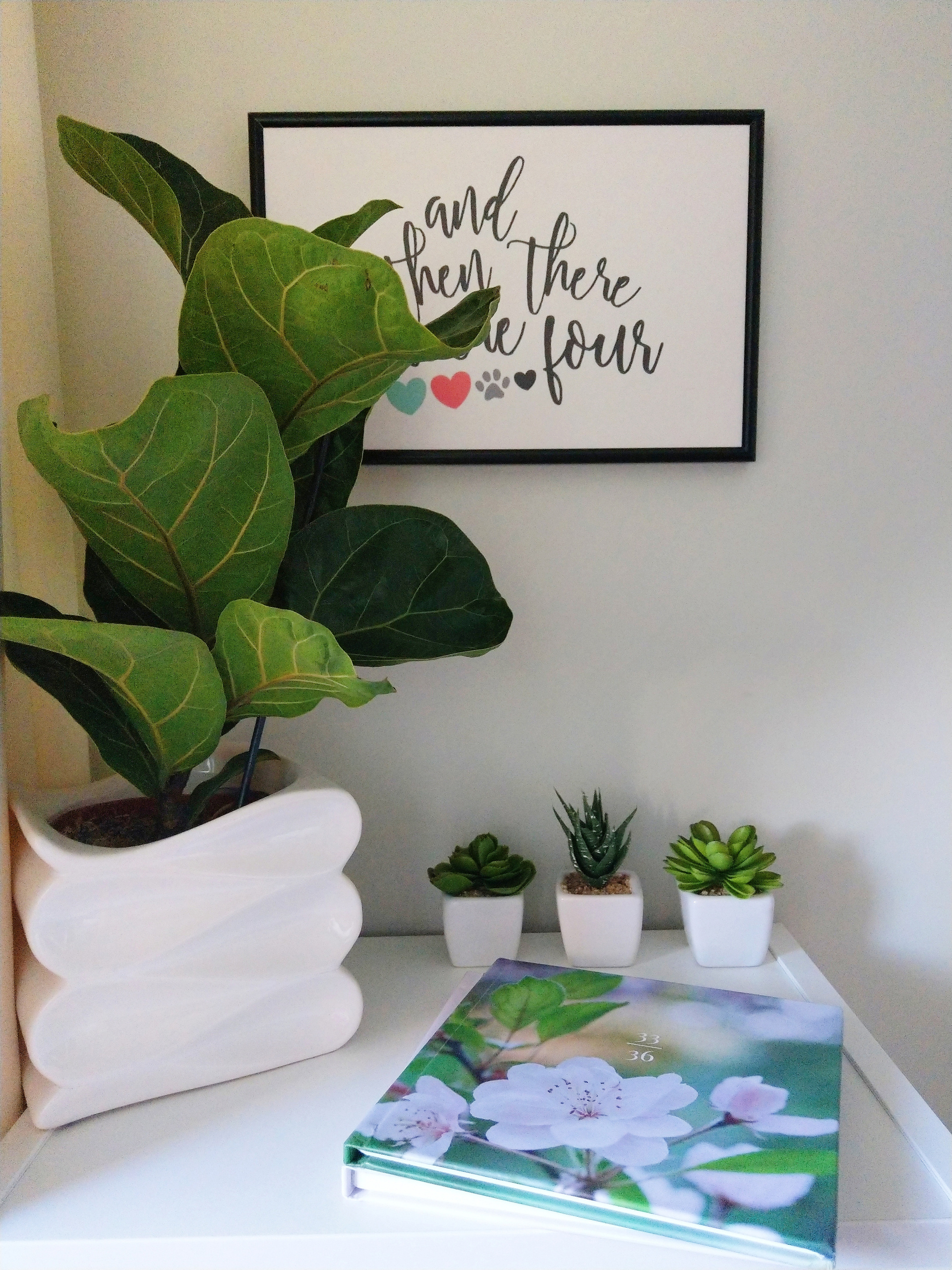 Контакты. Студия дизайна и печати фотокниг Гингко