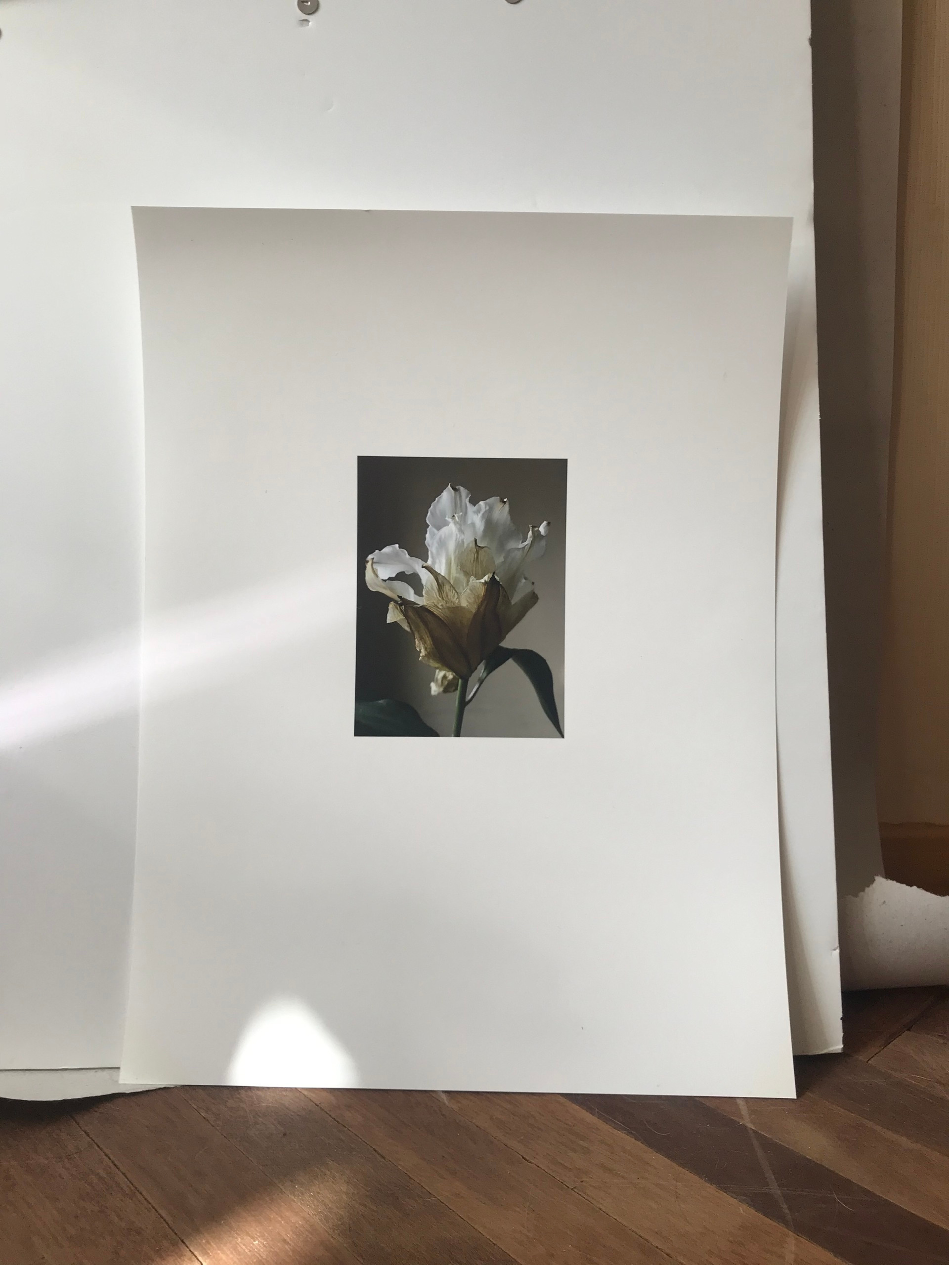 Print for sale. Varya Kozhevnikova | Варя Кожевникова