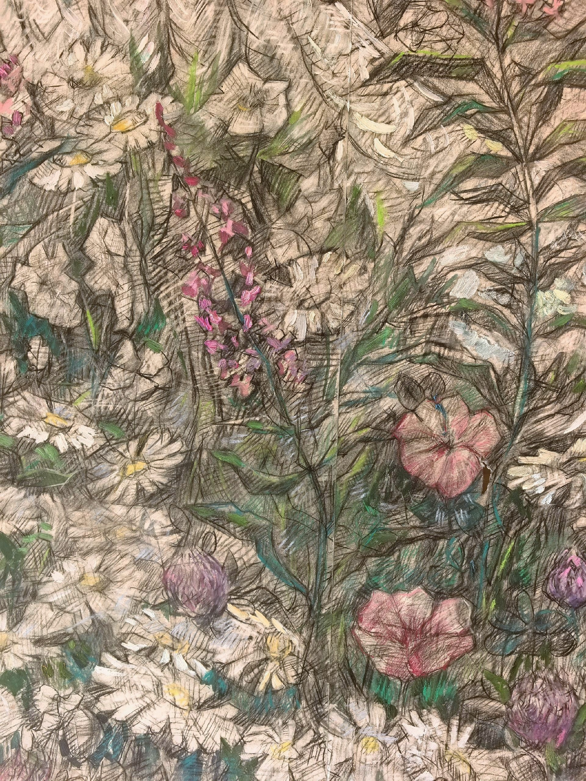 Услуги. Художник и гид по Камчатке Евгений Чайкин